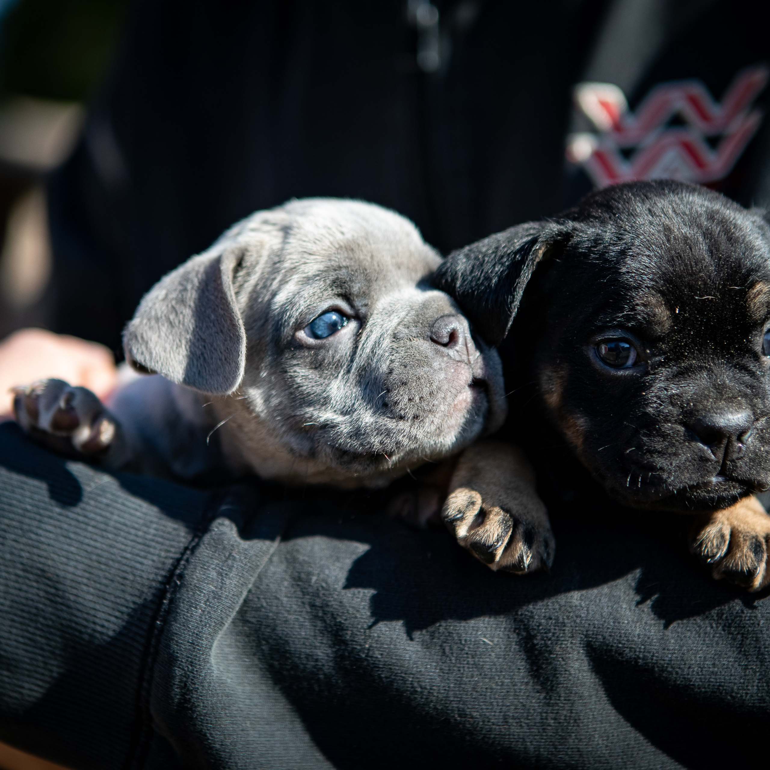 Відгуки о Ірина Онищенко. Сімейний та Весільний  фотограф Ірина Онищенко
