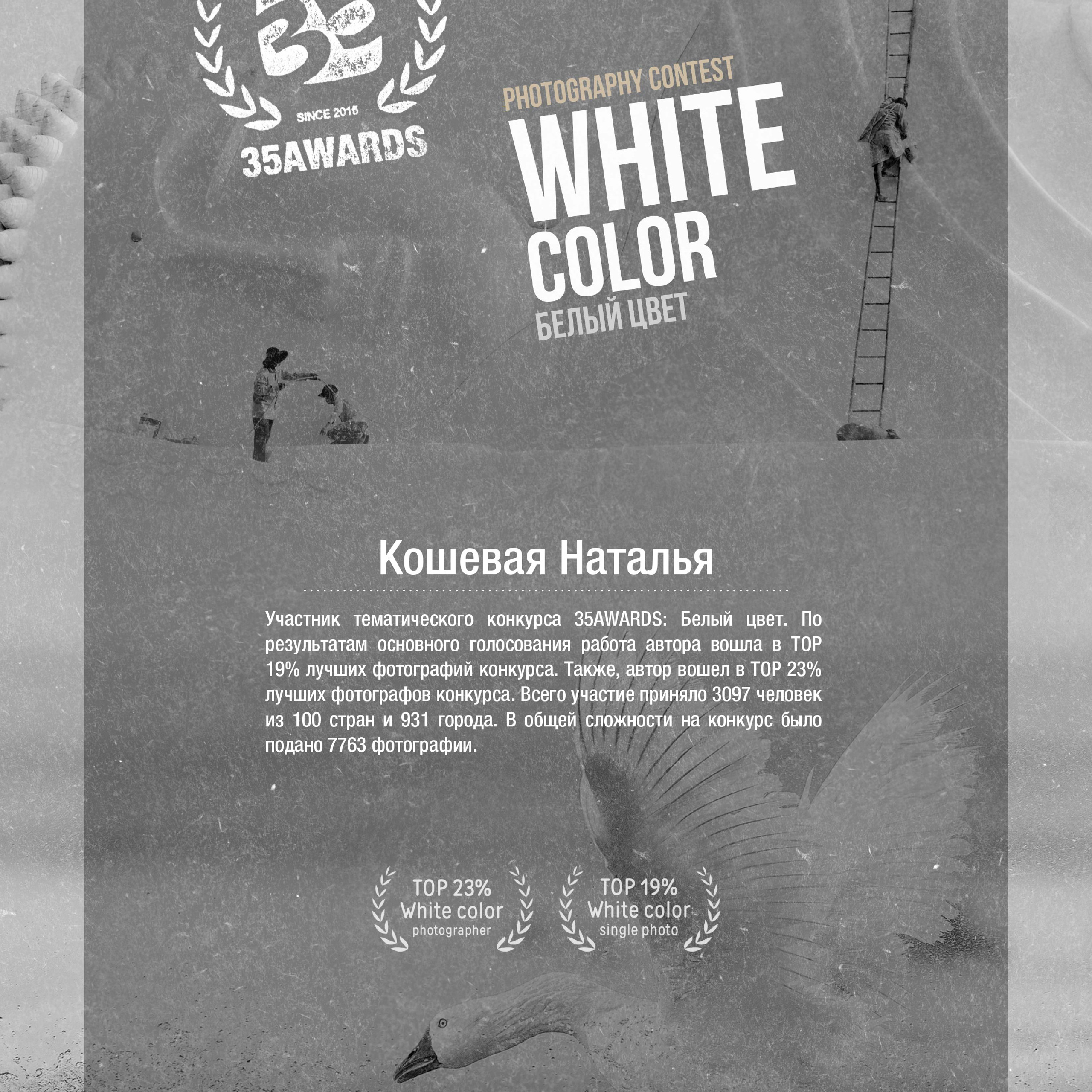 Контакты. Фотограф Натали Кошевая _ Днепр, Подгородное