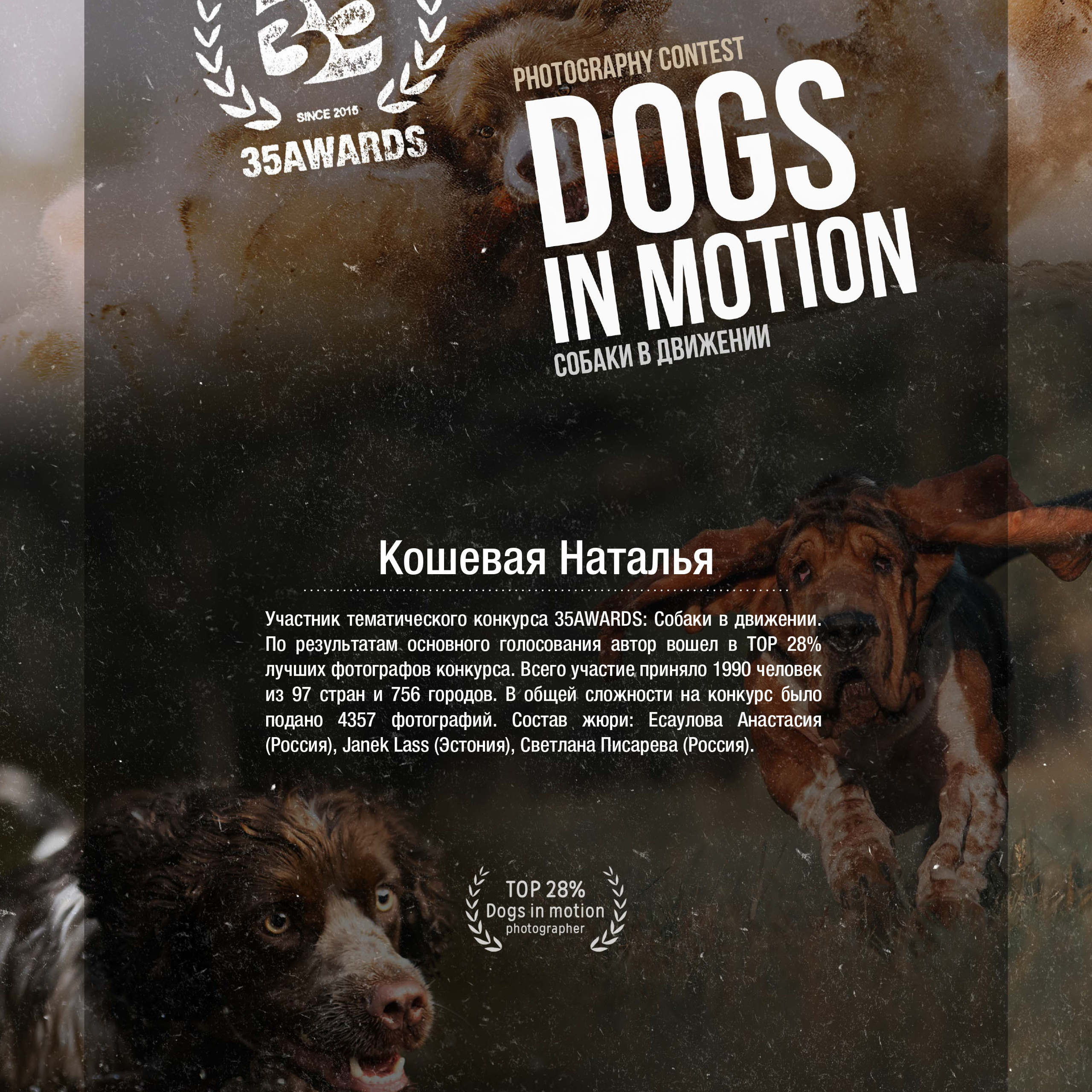 Контакты. Фотограф Натали Кошевая _ Днепр, Подгородное