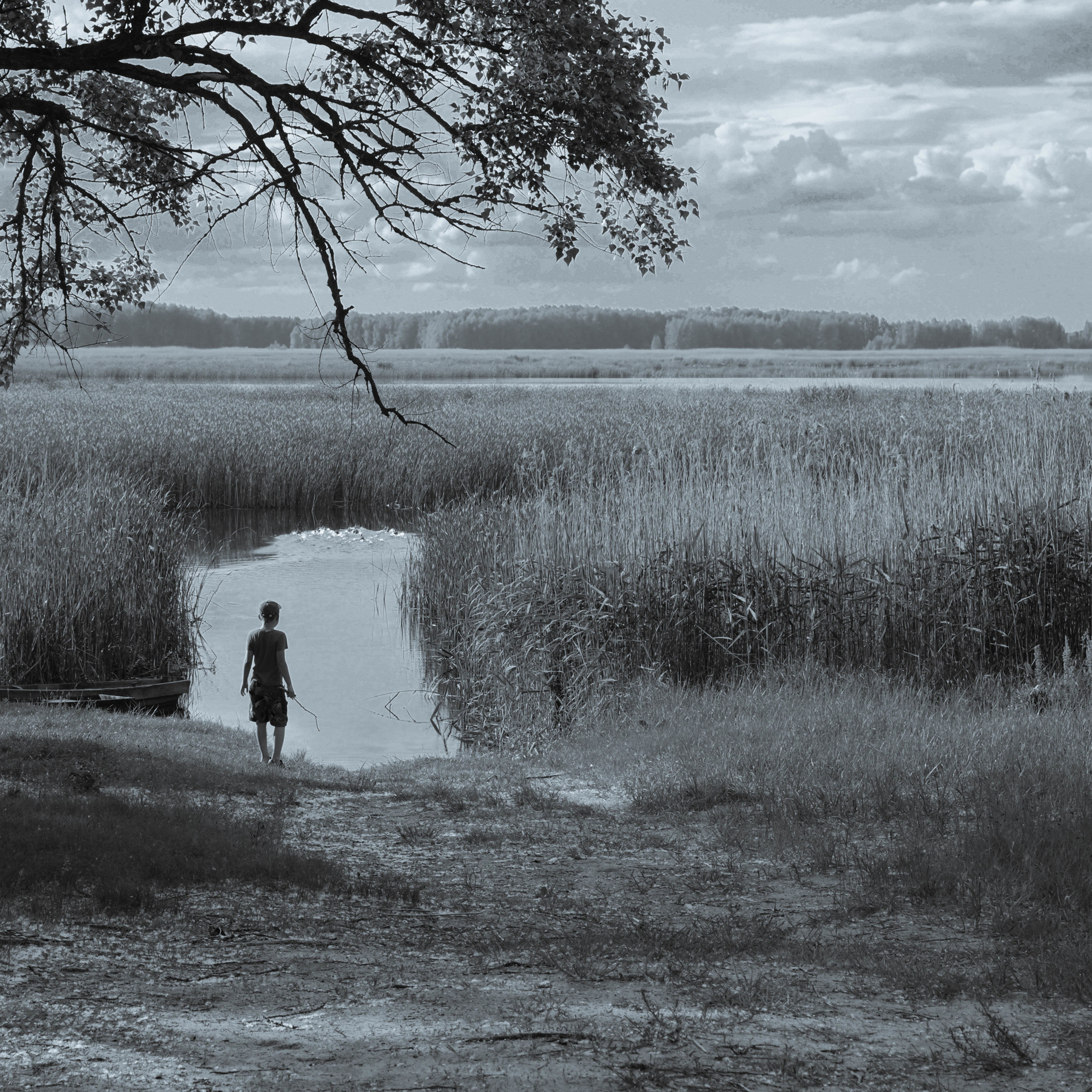 Літо в селі