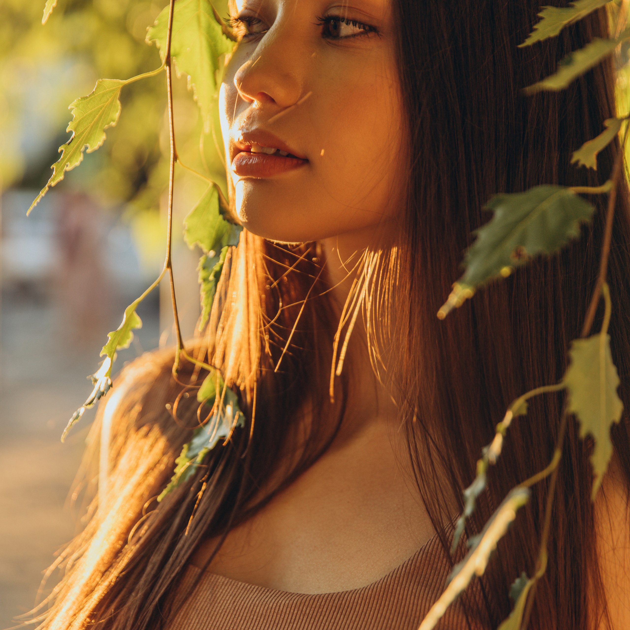 Commentaires. Photographe en Haute Savoie, Geneve et son agglomération