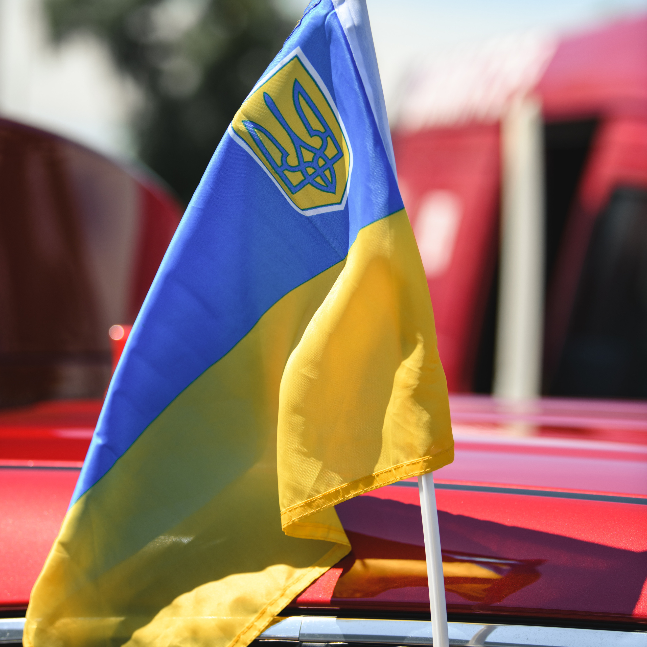 FEEDBACK. Свадебный и семейный фотограф