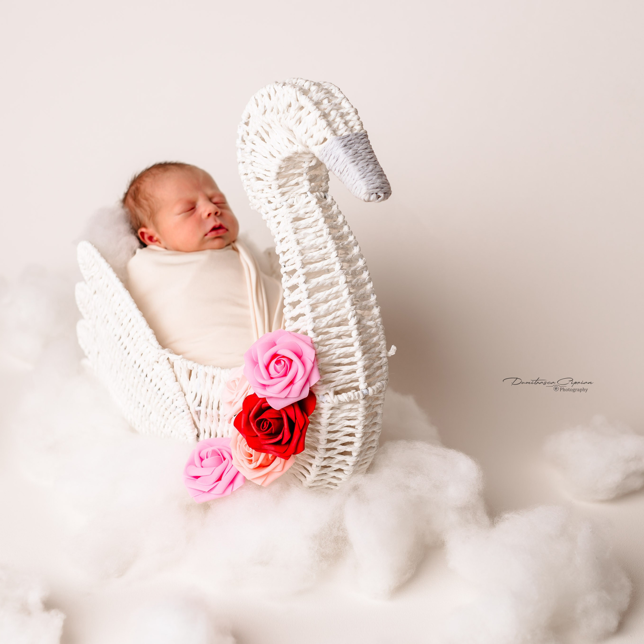 A&nbsp;sweet little angel