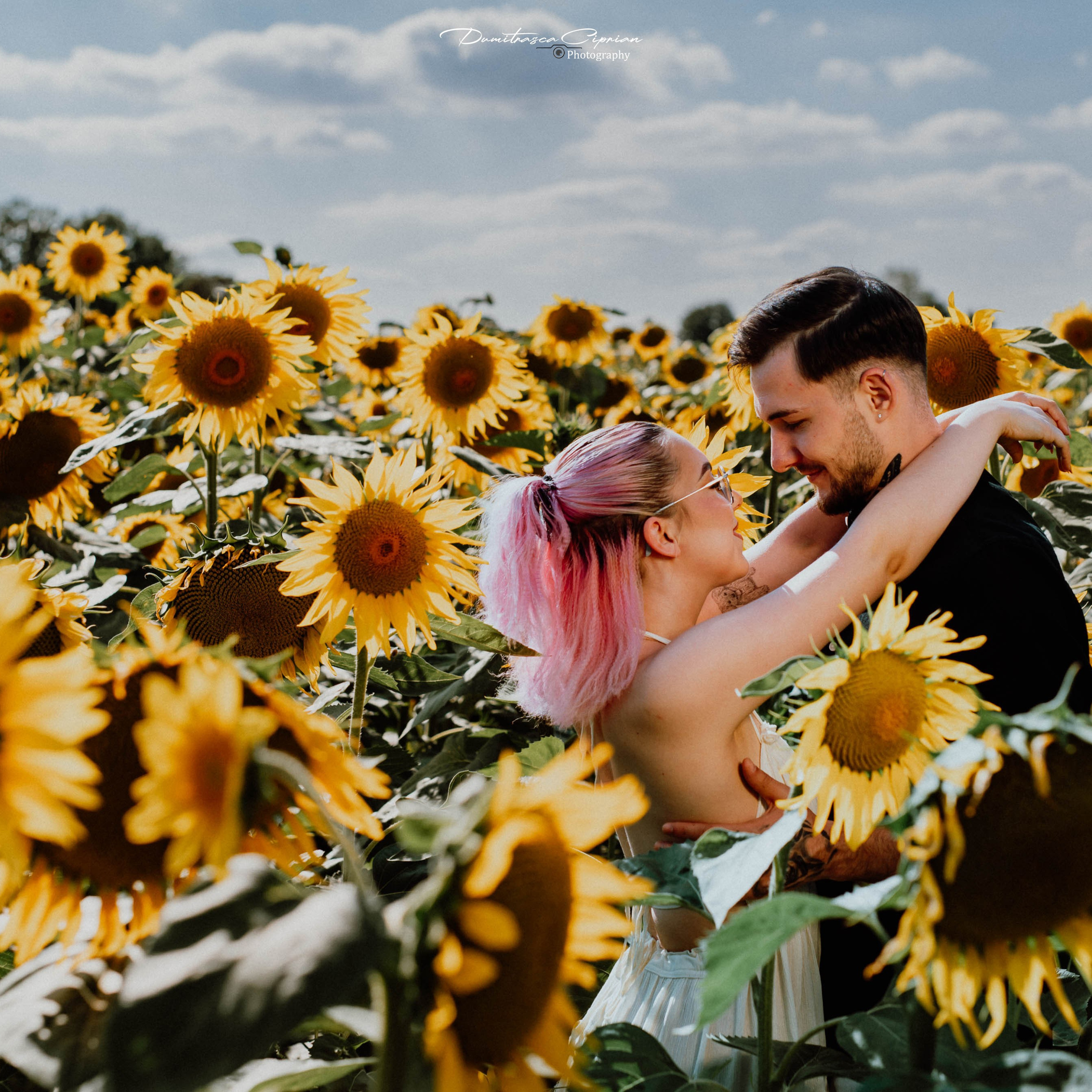 Two souls in love among sunflowers