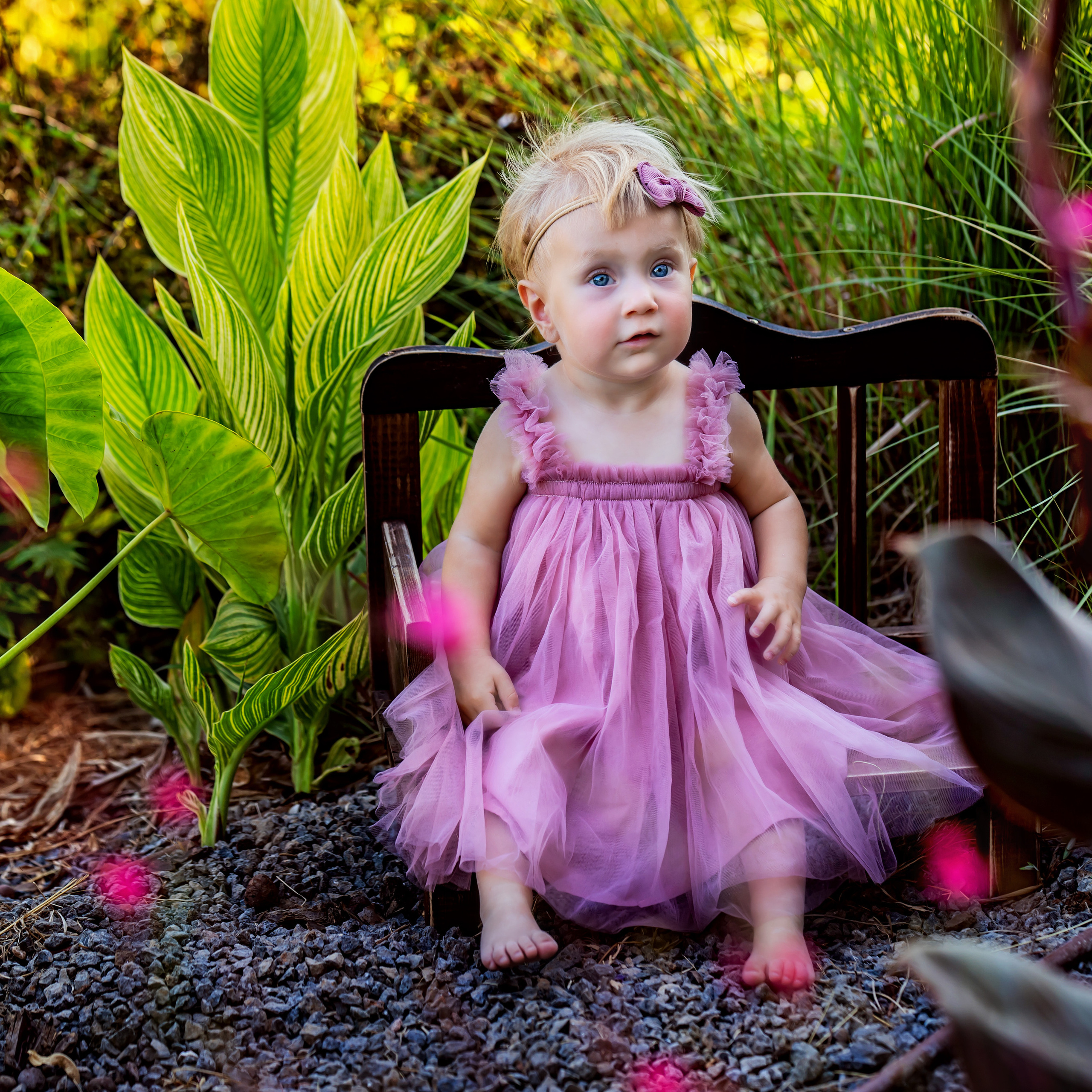 אתם אמרתם. דיאנה פרידמן-צלמת משפחה וילדים בישראל