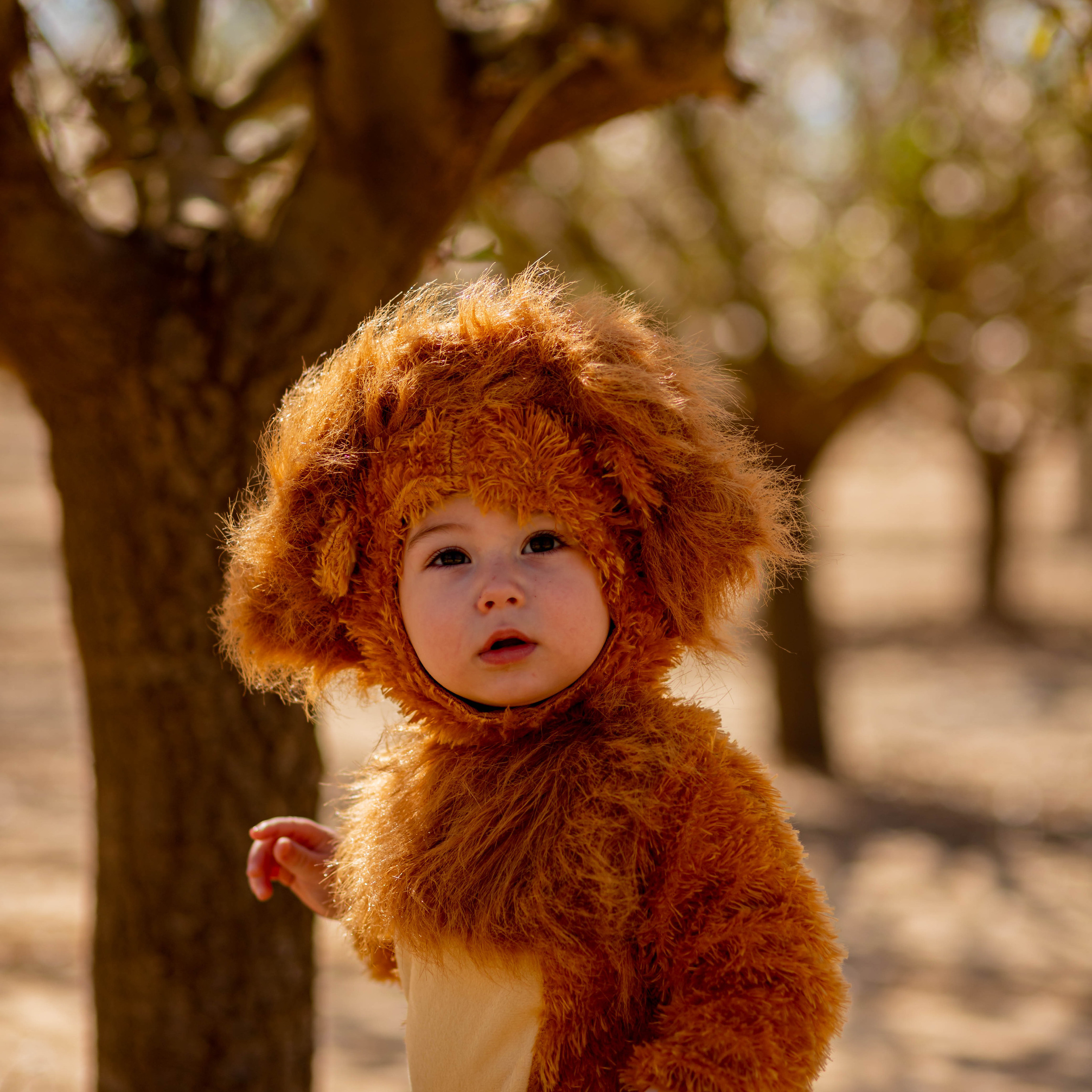 אתם אמרתם. דיאנה פרידמן-צלמת משפחה וילדים בישראל