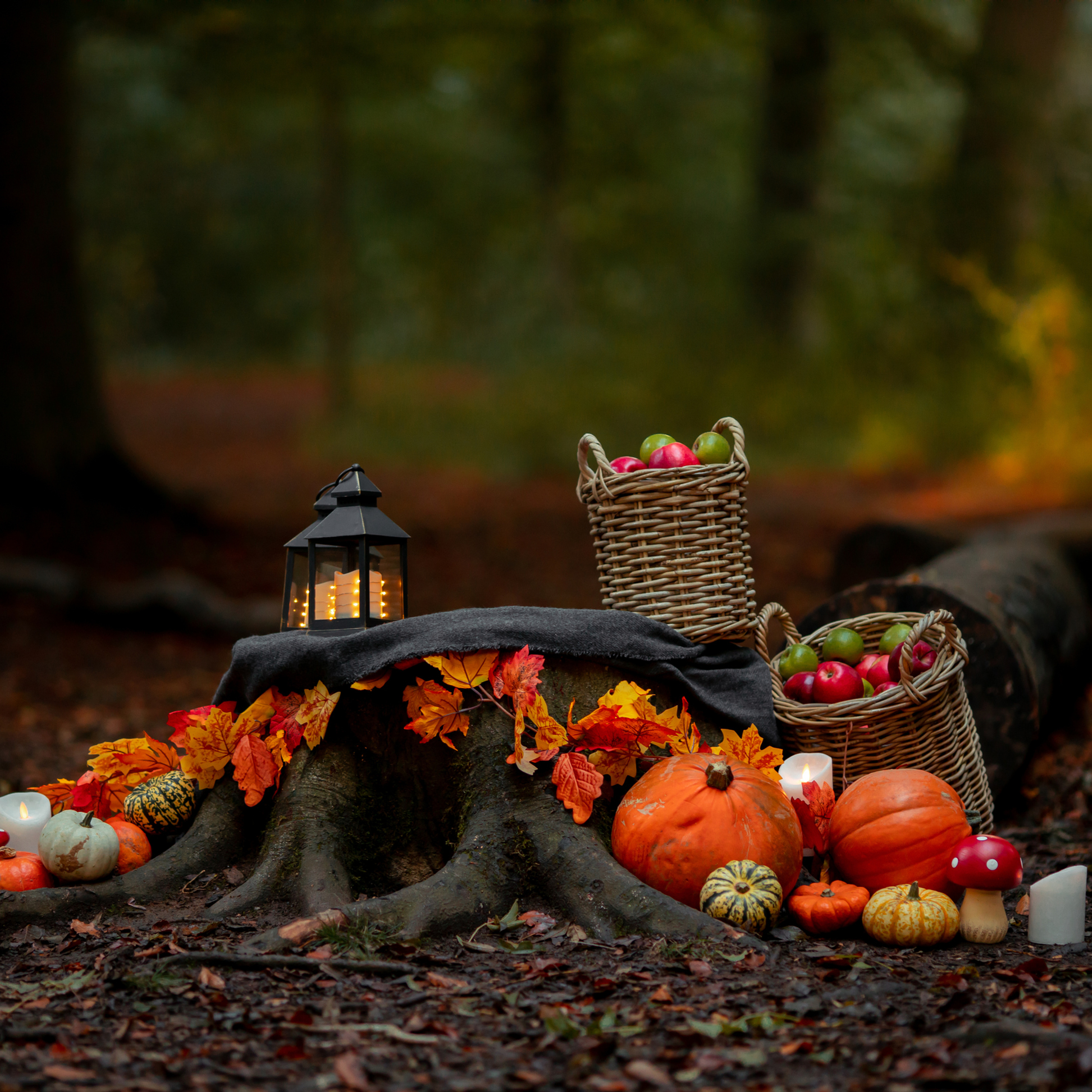 Alinalife Northamptonshire photographer reviews