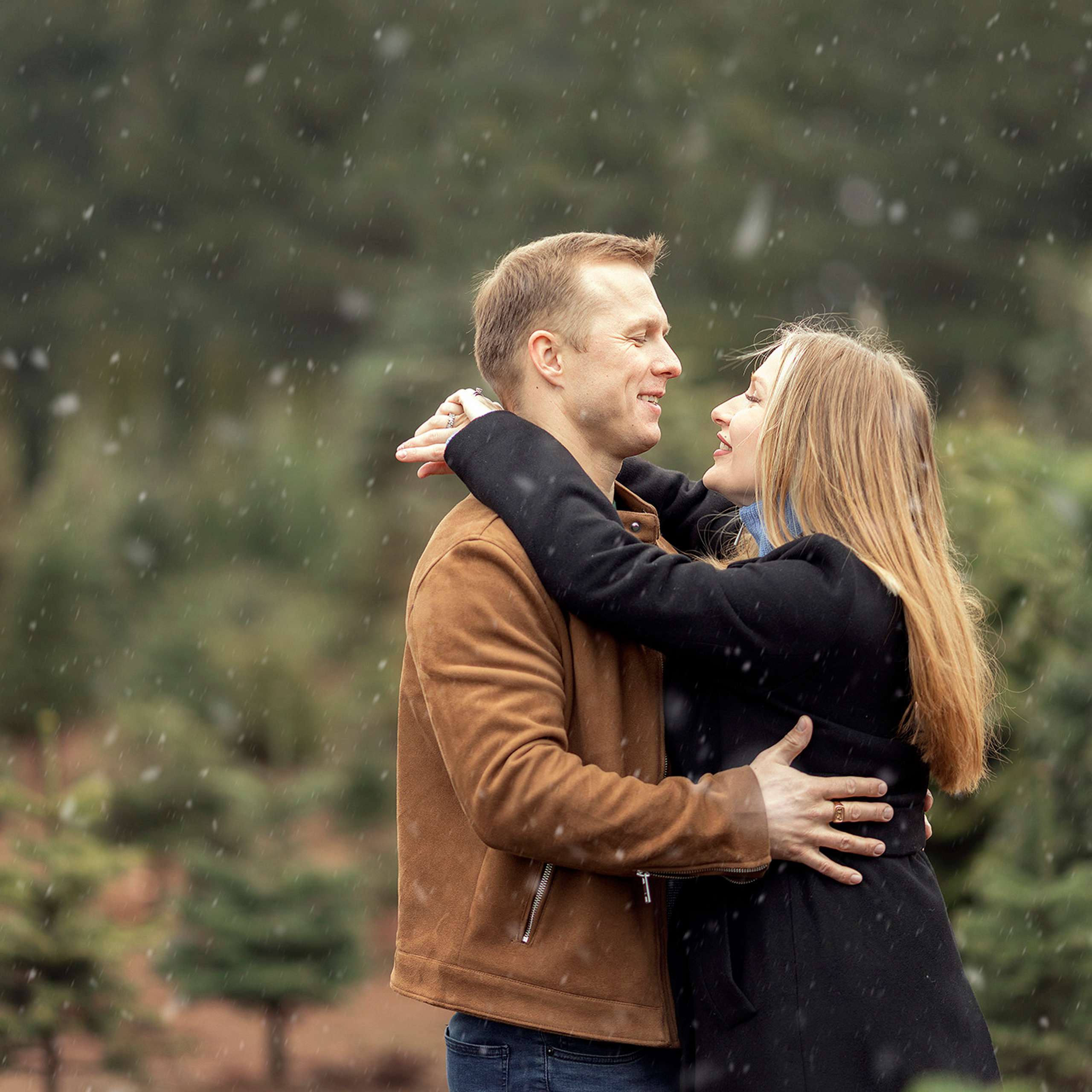 Brush Prairie/WA, December 2022