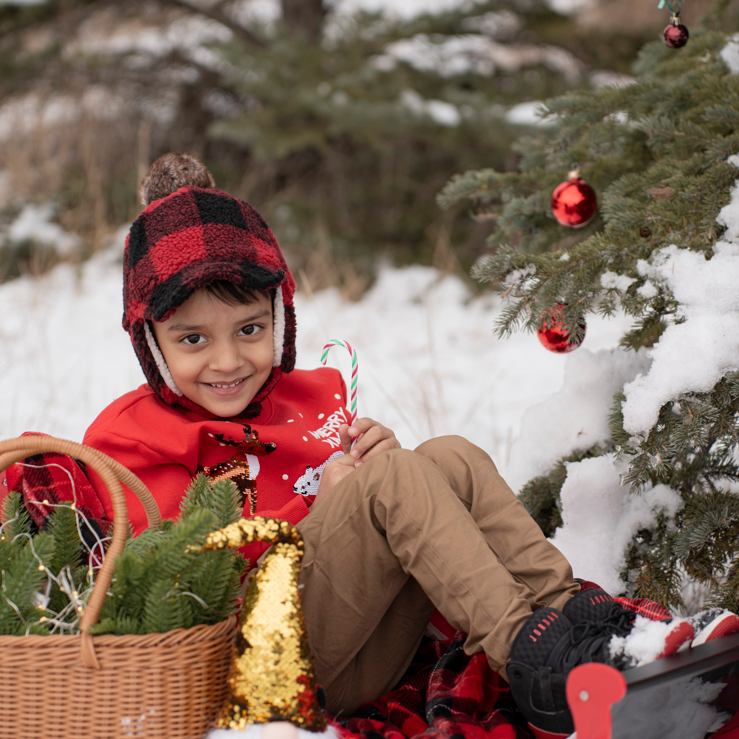 Reviews. Calgary Portrait & Family and Child Photographer