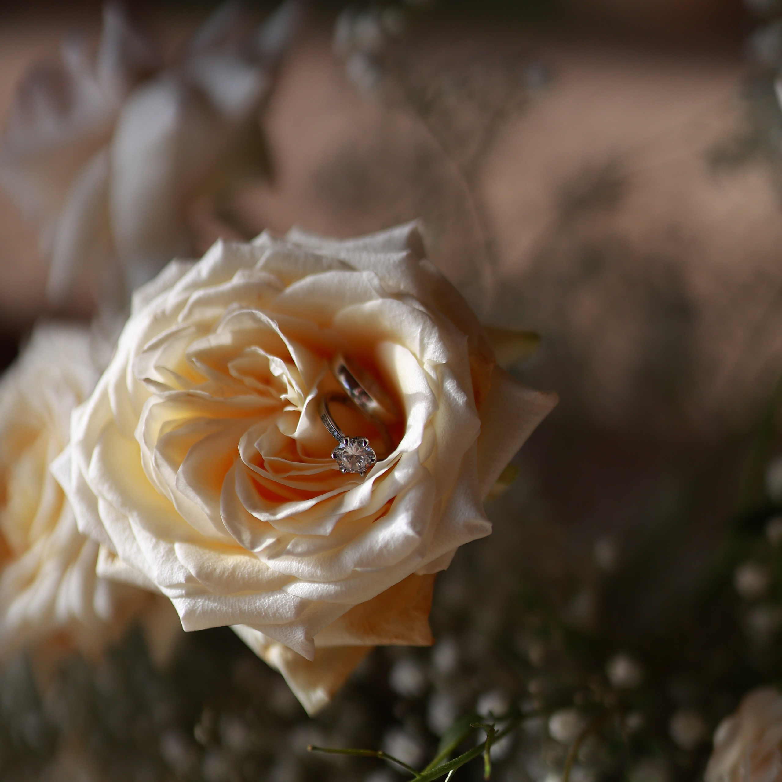 Photographe pays basque biarritz sud ouest france photo shooting plage biarritz conseils photographe biarritz séance photo Cote Basque. Photographe de famille et mariage à Biarritz Marianna Portassau