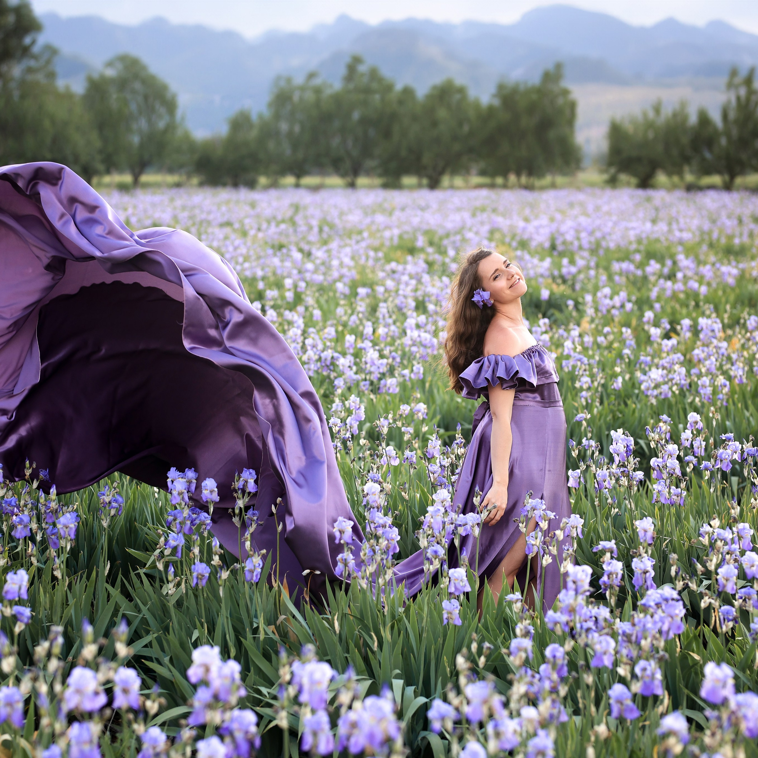 Fields of roses, irises and white poppies