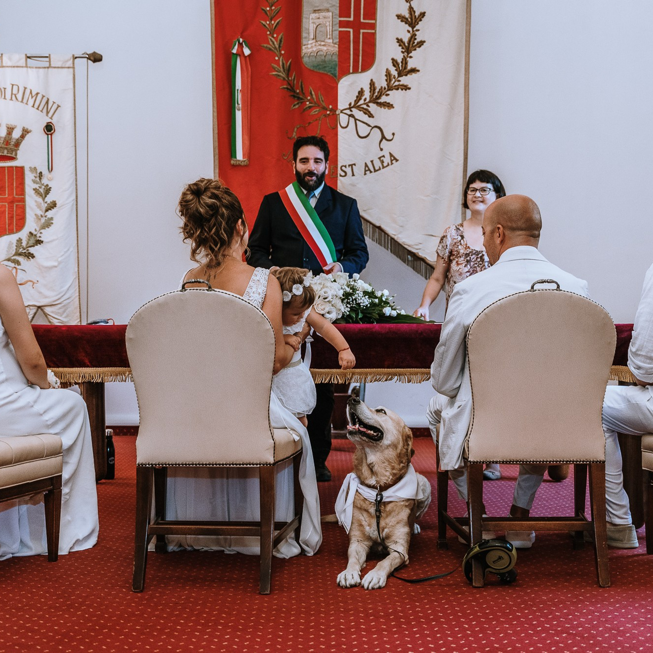 Wedding. Fotografo di famiglia, neonati, maternity, ritratti, matrimoni, cerimonie, Rimini