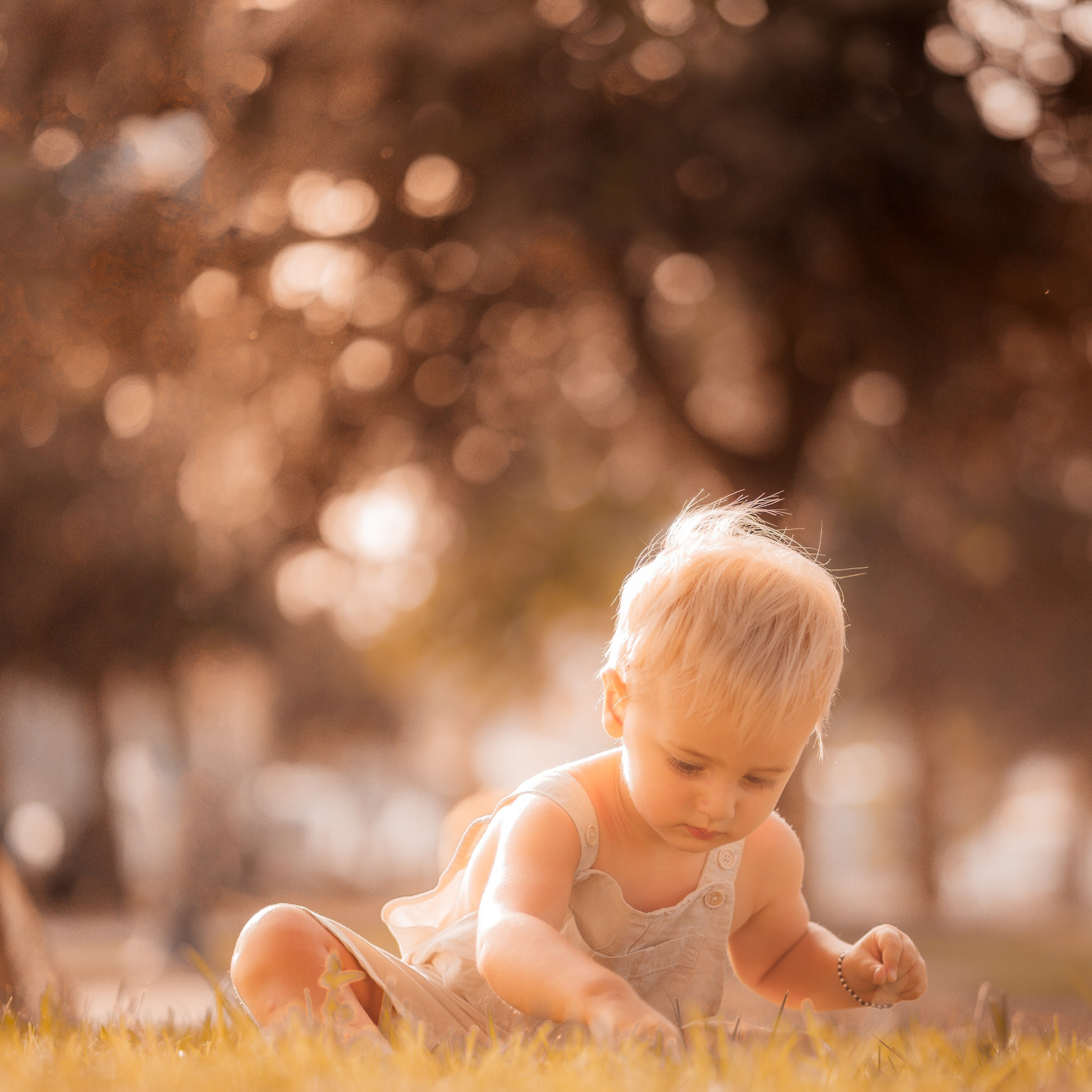 Family. Fotografo di famiglia, neonati, maternity, ritratti, matrimoni, cerimonie, Rimini