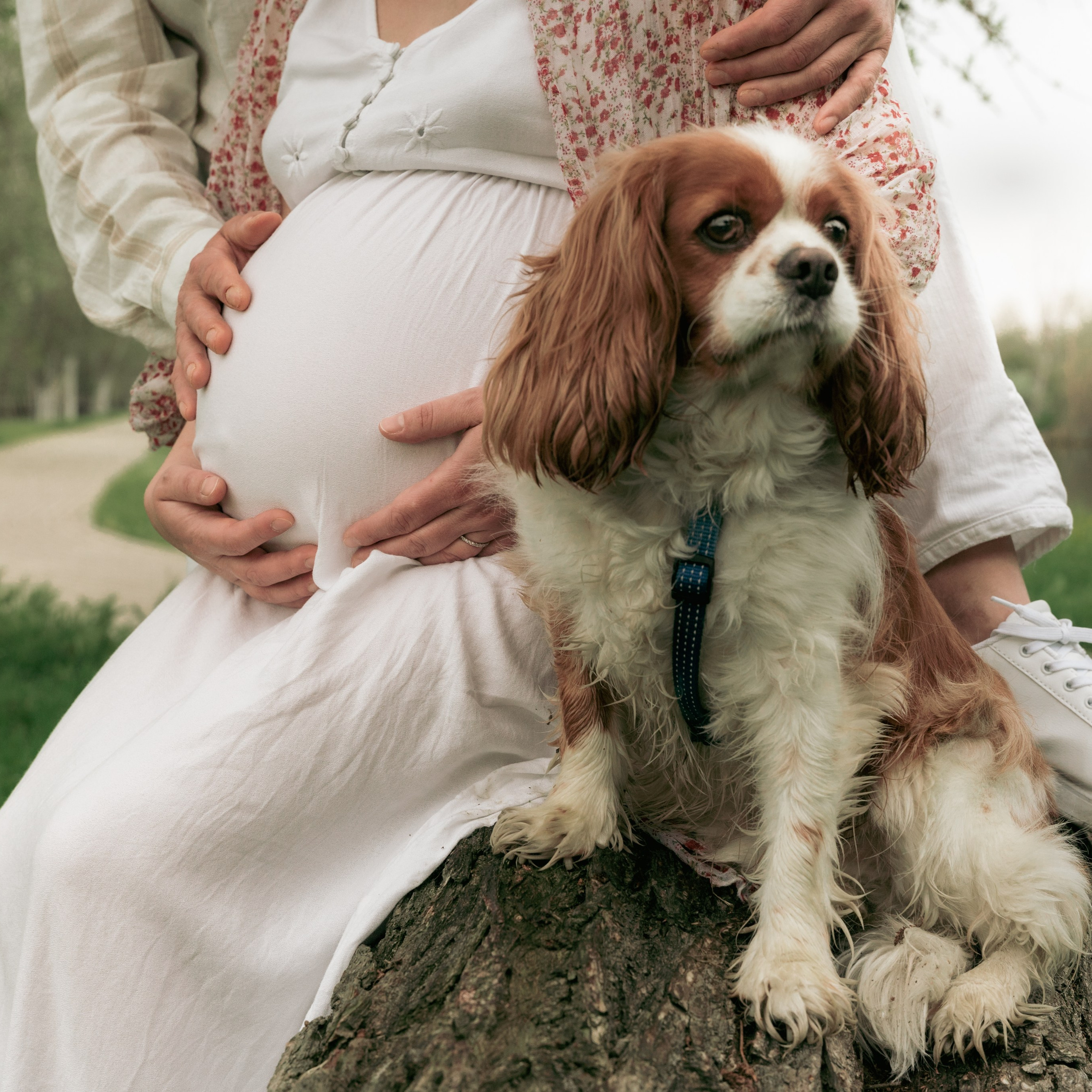 Family. Fotografo di famiglia, neonati, maternity, ritratti, matrimoni, cerimonie, Rimini