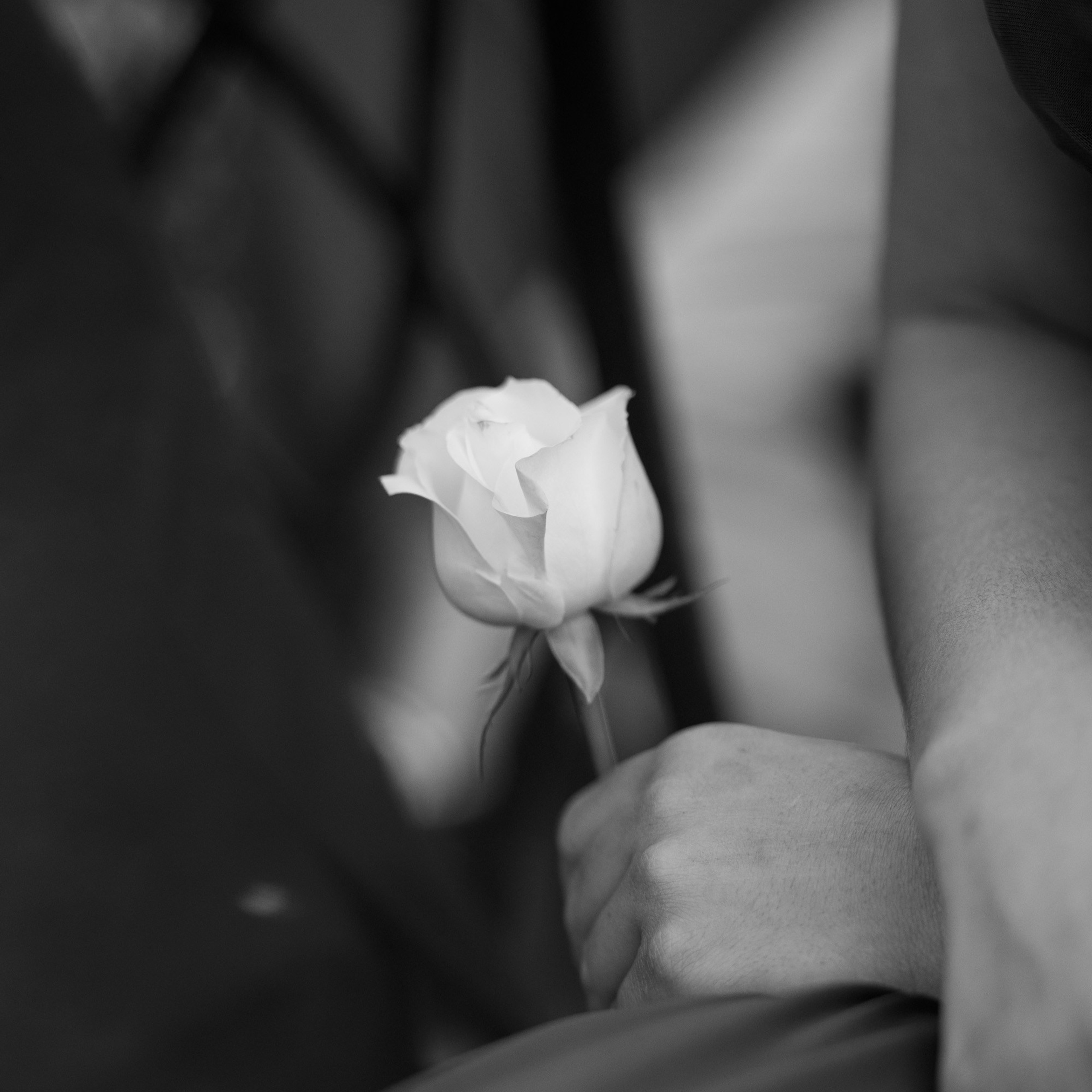 13, fev 26. Novos Tempos Wedding