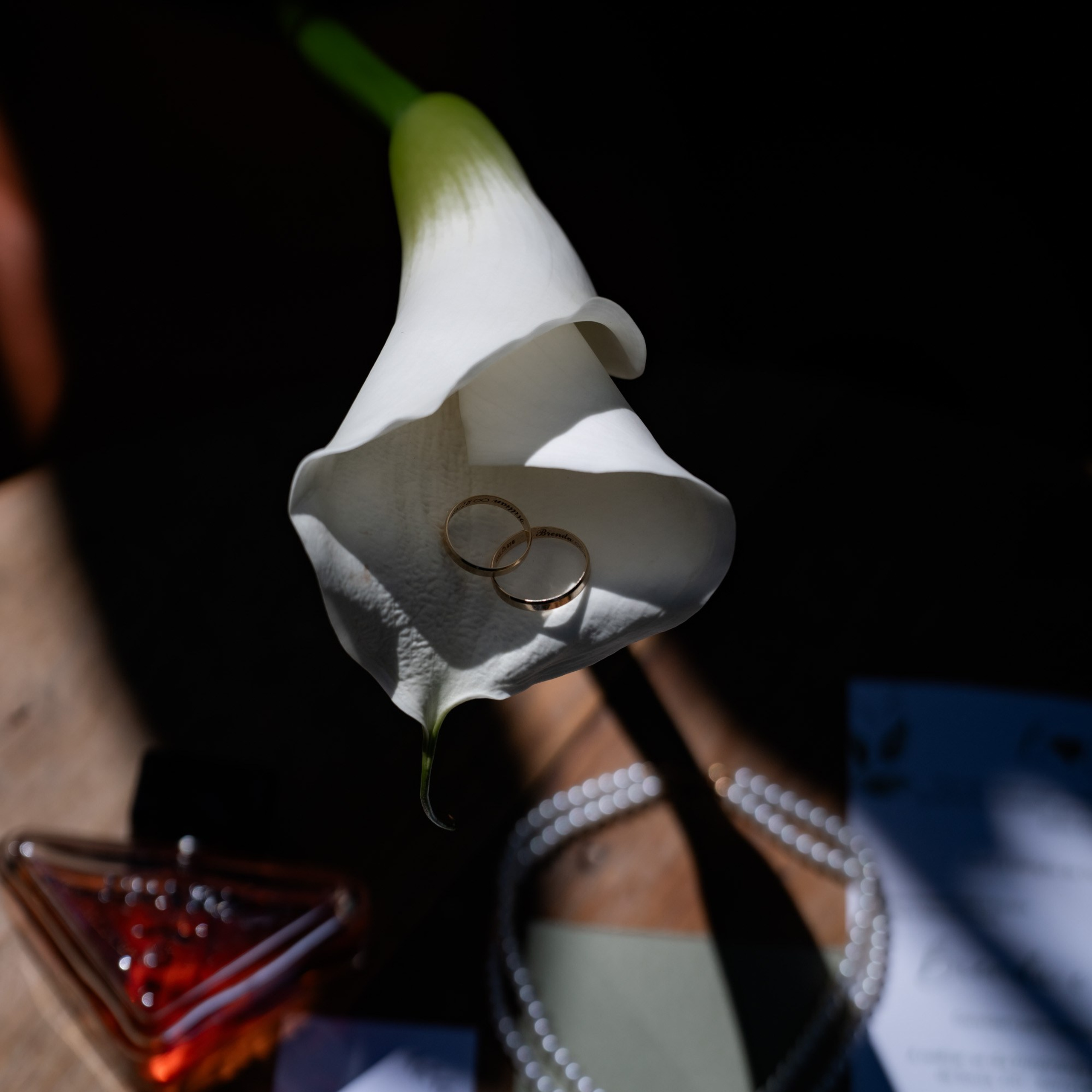 Brenda & Willian. Novos Tempos Wedding