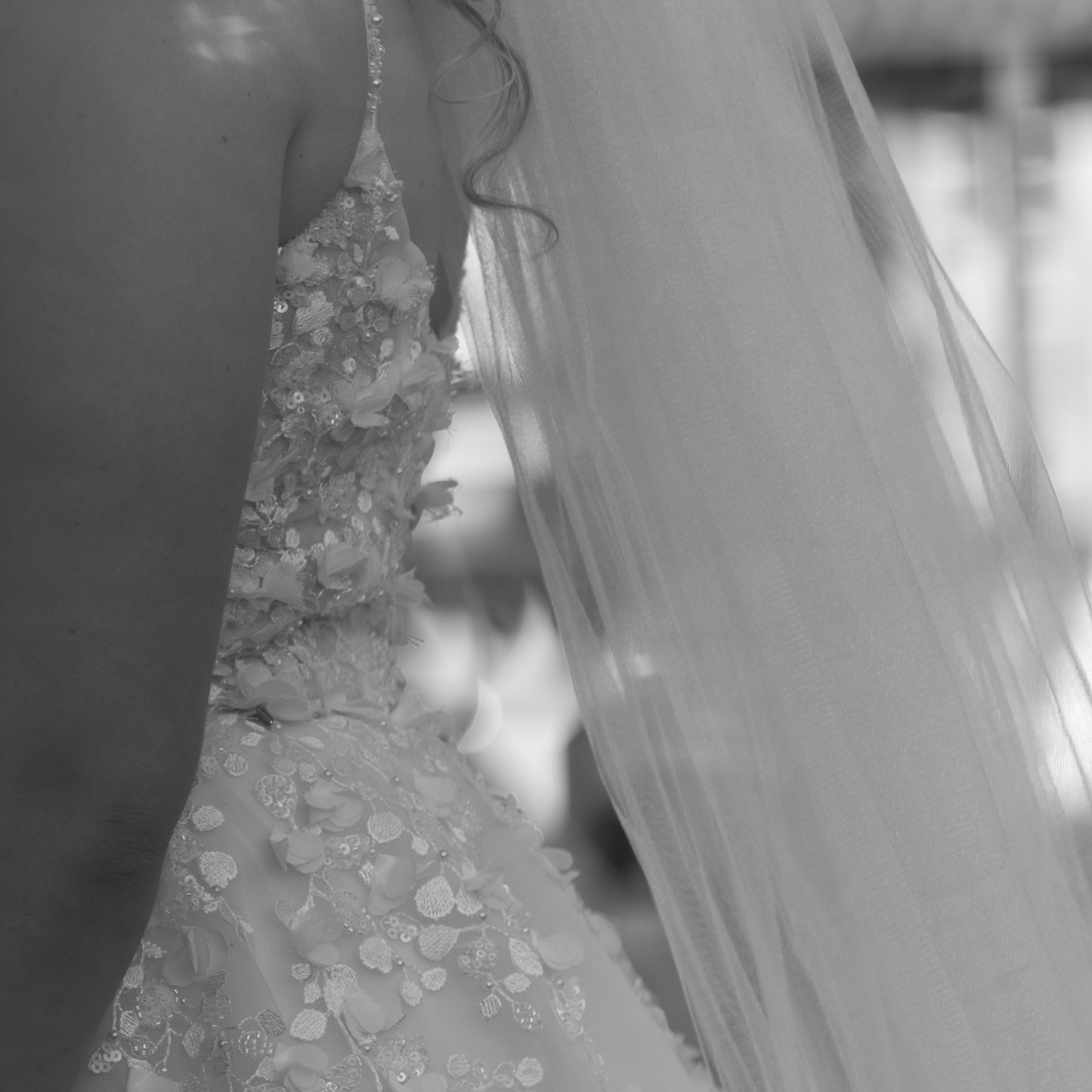 13, fev 26. Novos Tempos Wedding