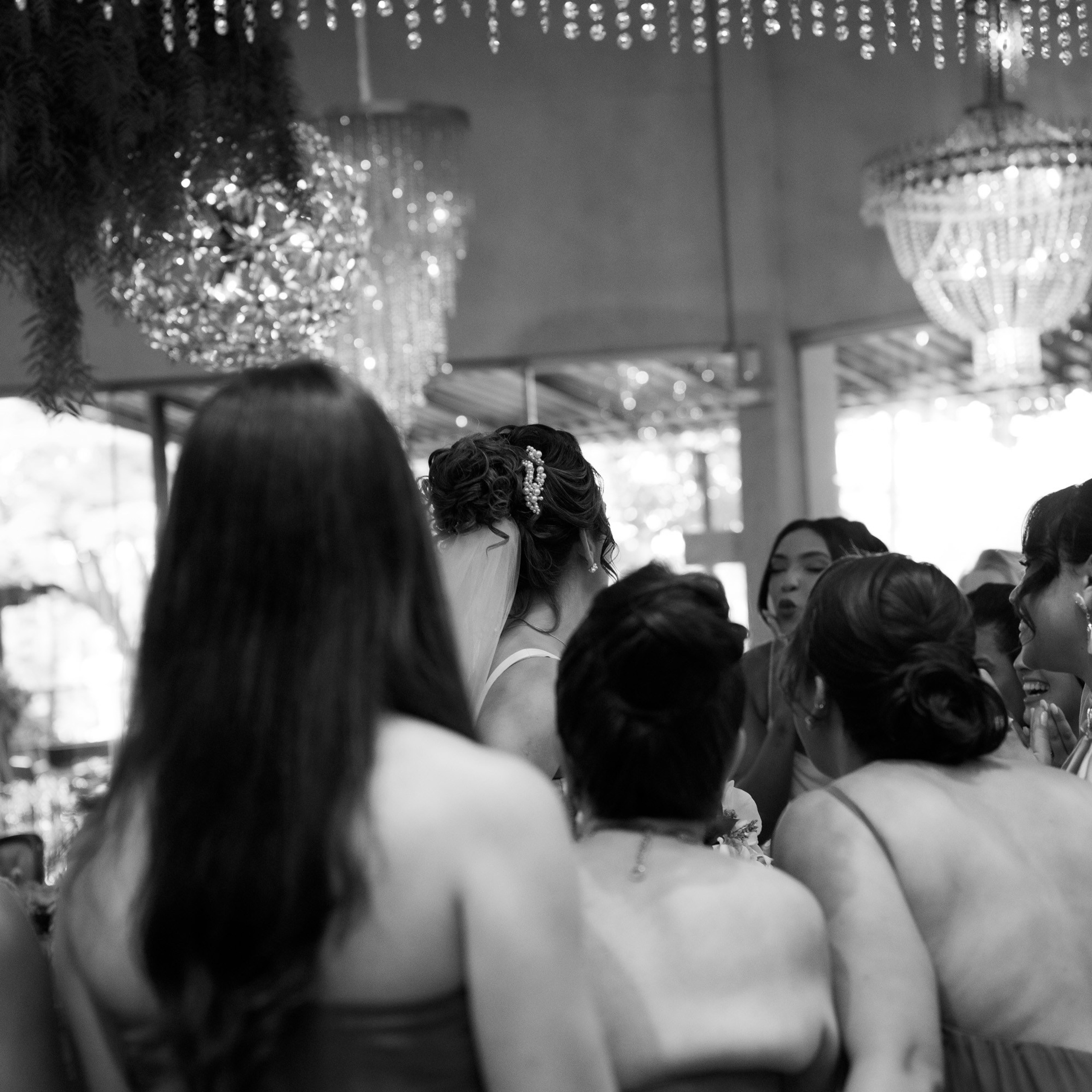 Rosa & Wallace. Novos Tempos Wedding