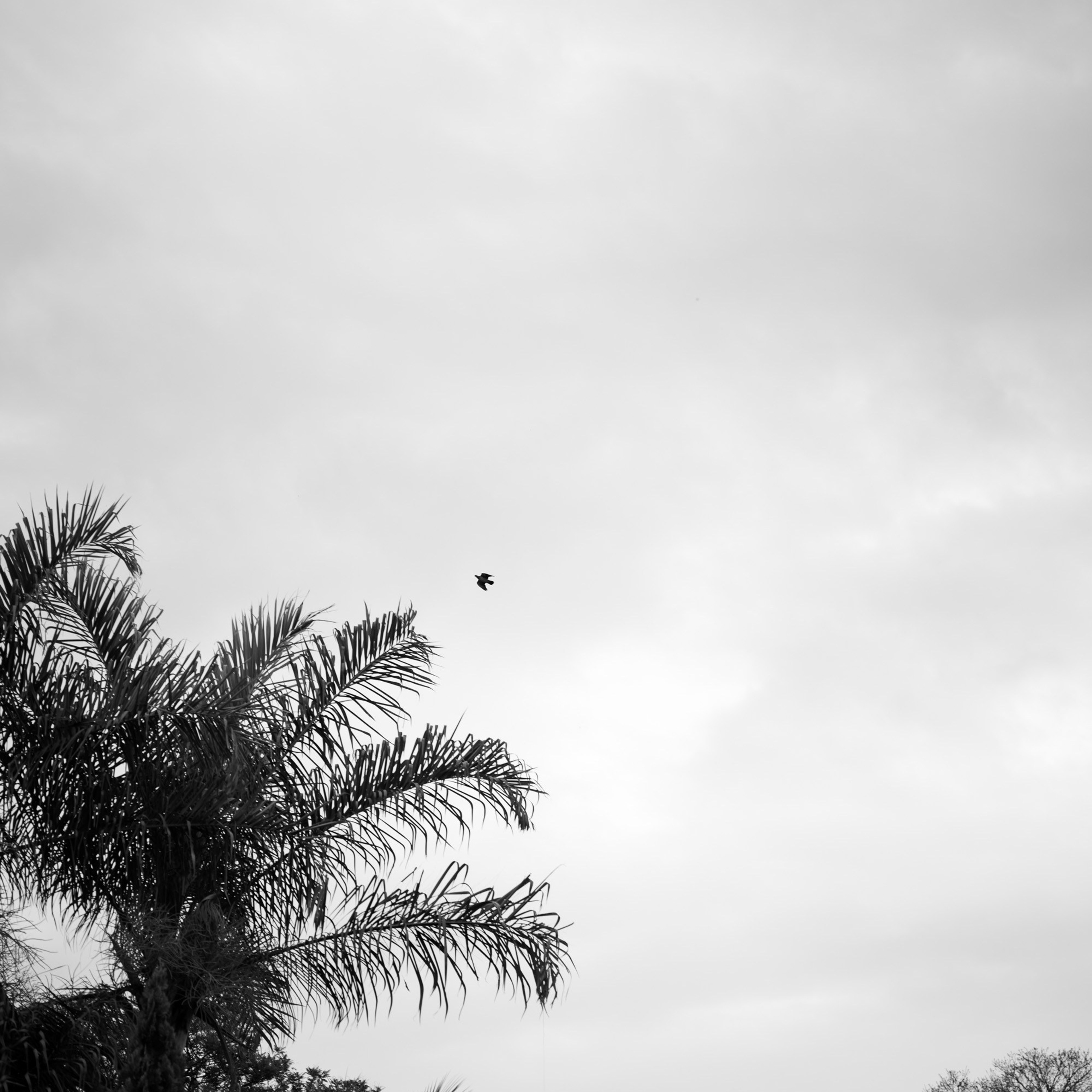 Gio & Cris. Novos Tempos Wedding