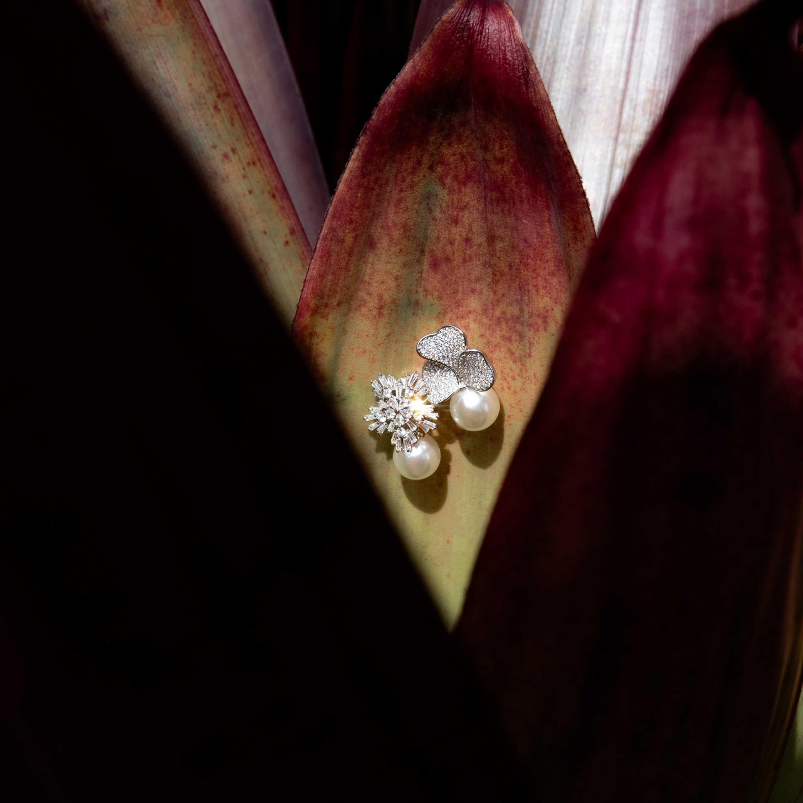 Amanda & Marcus. Novos Tempos Wedding