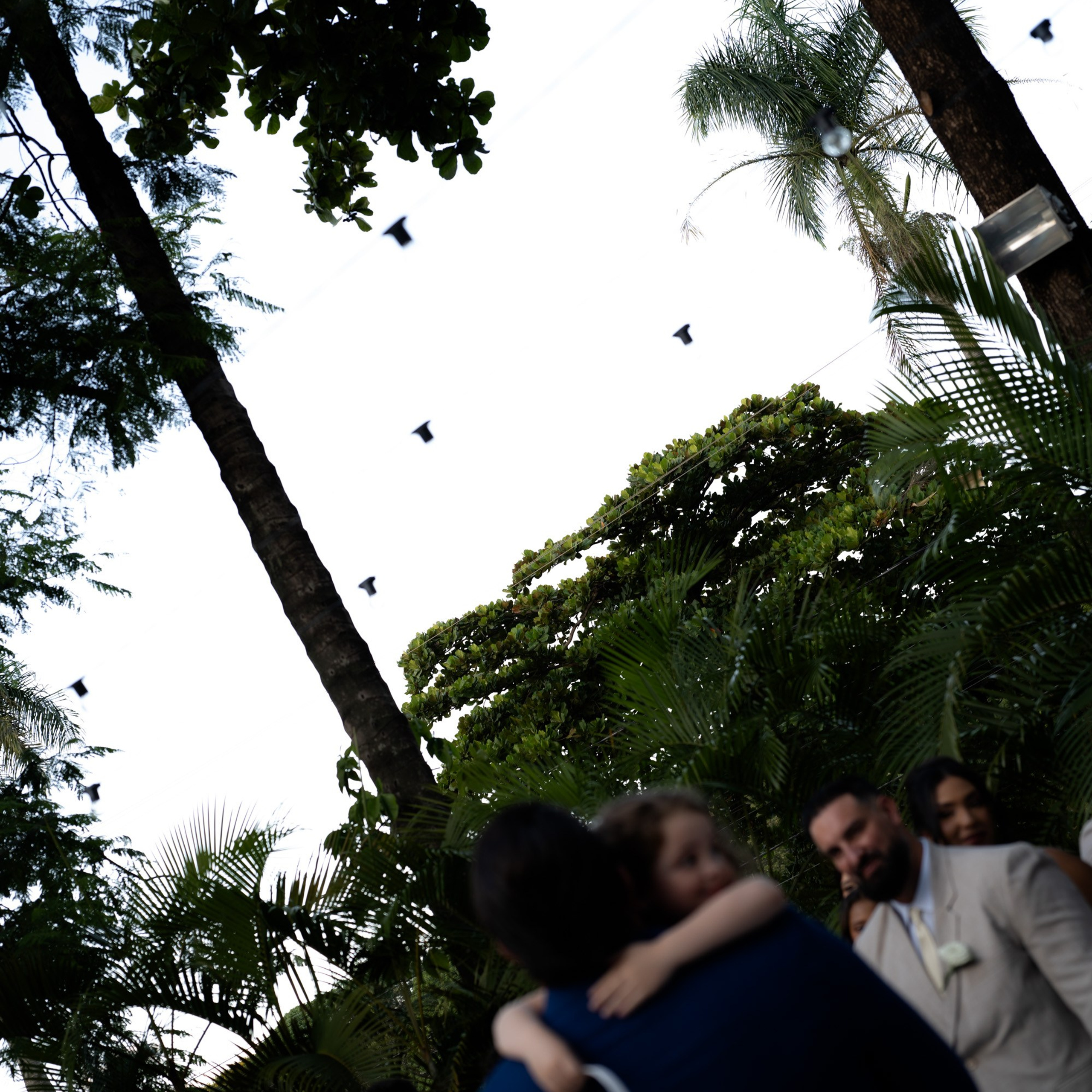 Rosa & Wallace. Novos Tempos Wedding
