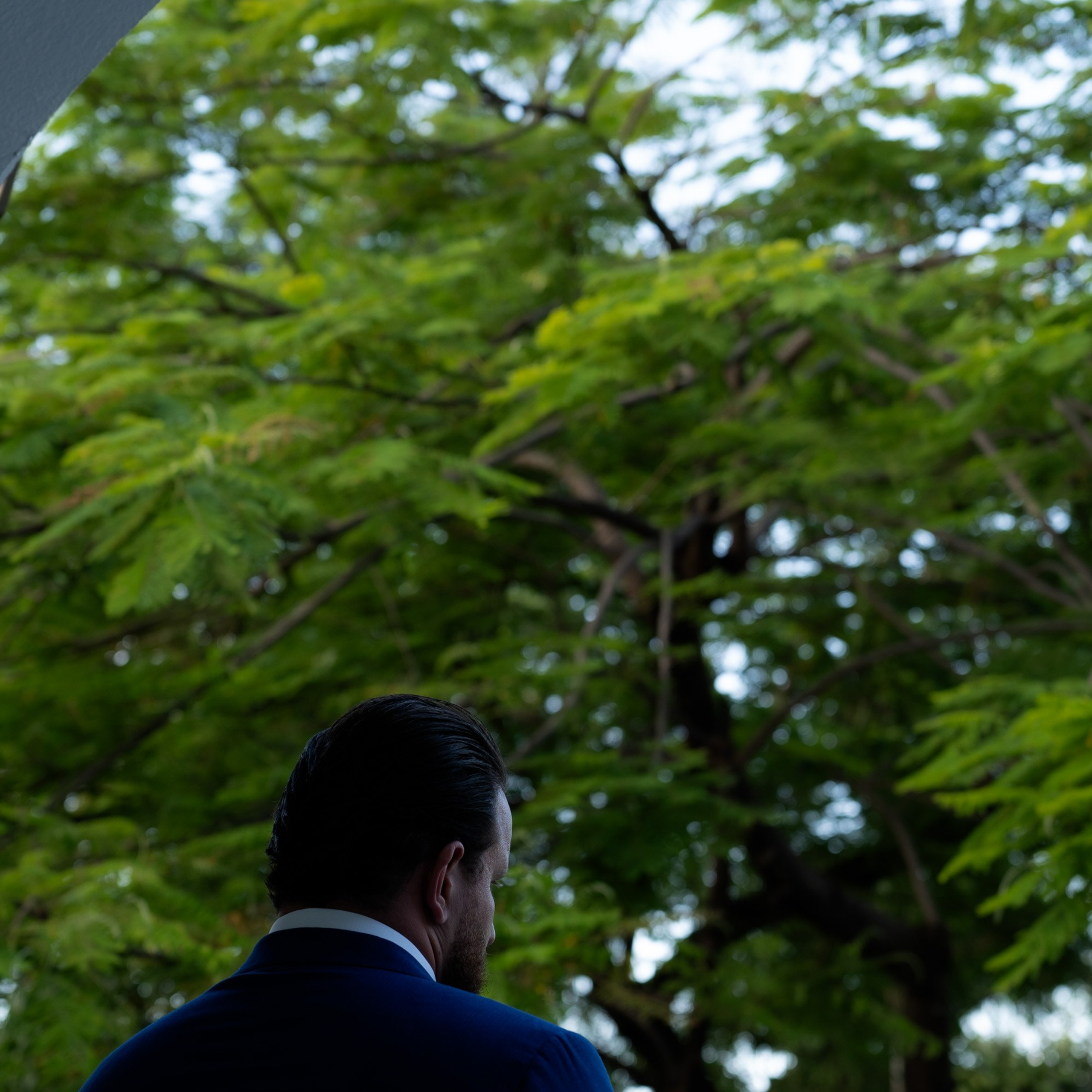 Rosa & Wallace. Novos Tempos Wedding