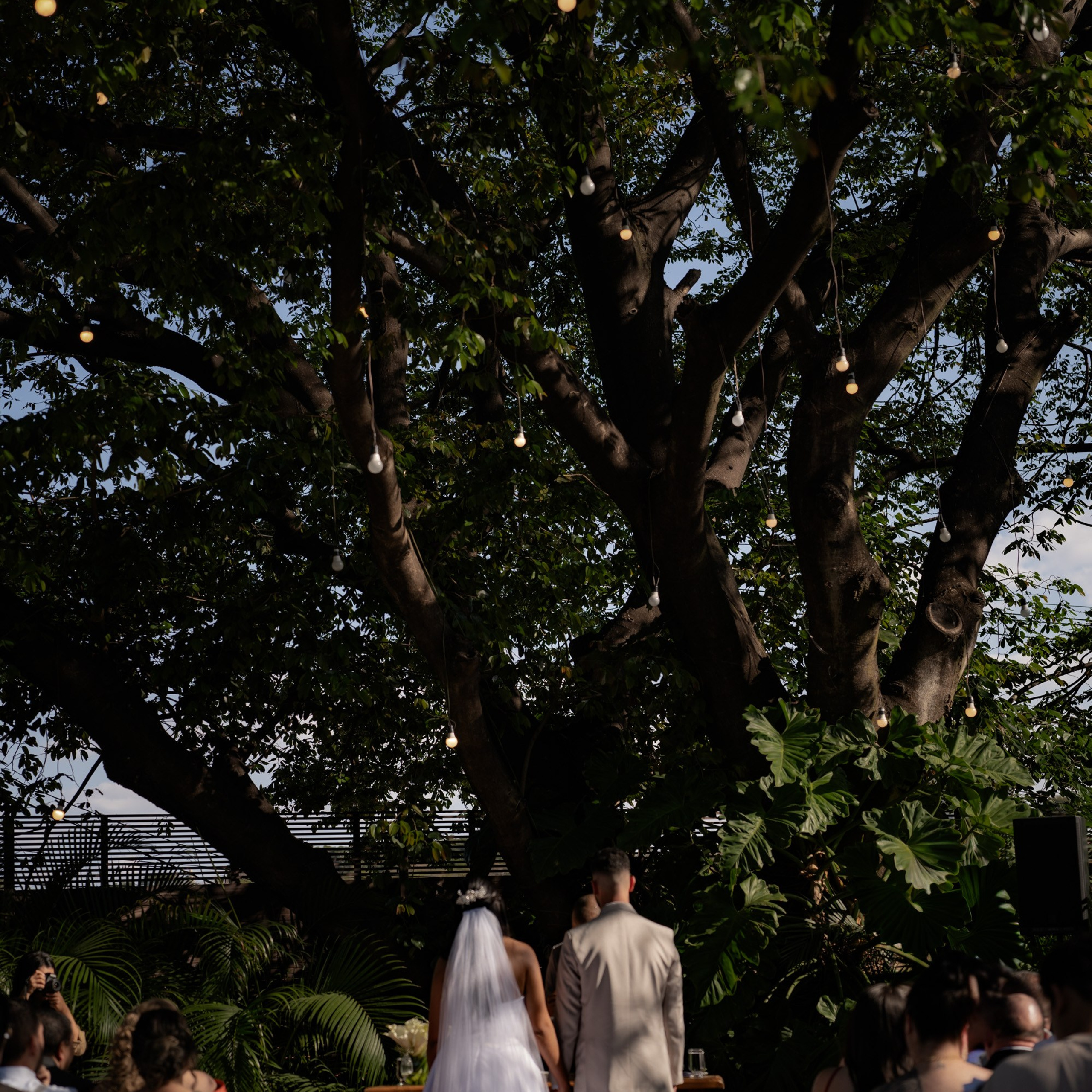 Brenda & Willian. Novos Tempos Wedding