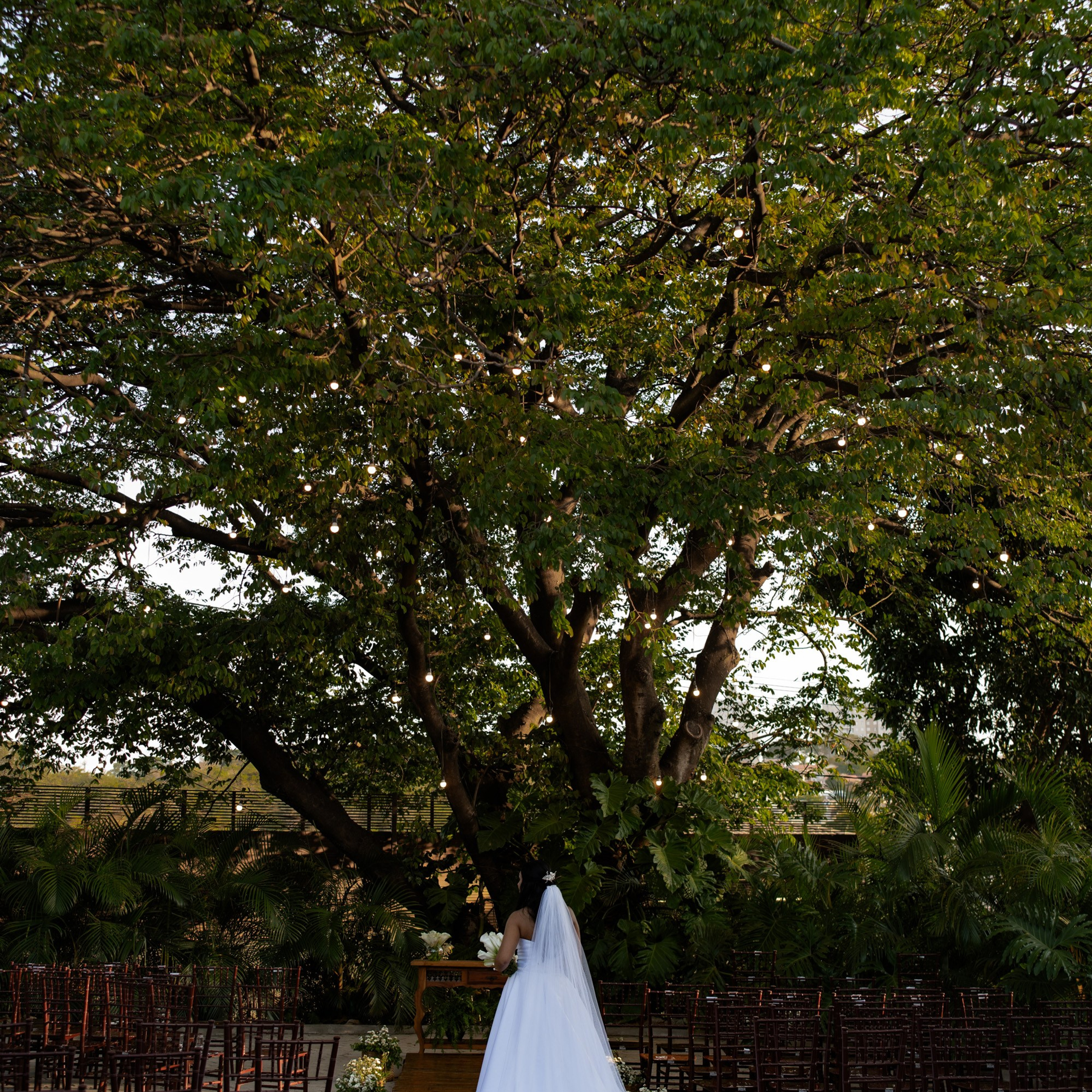 Brenda & Willian. Novos Tempos Wedding
