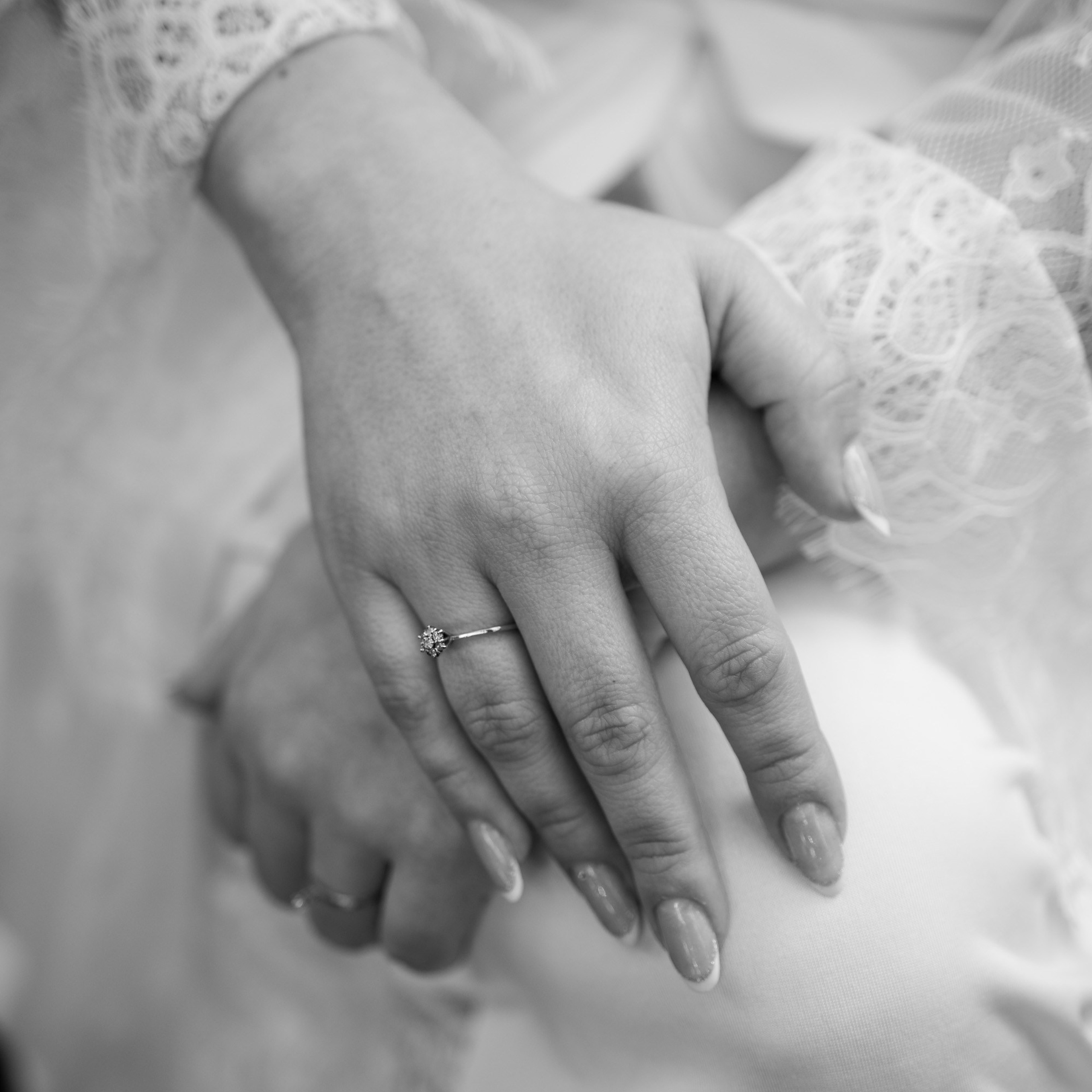 07, fev 26. Novos Tempos Wedding