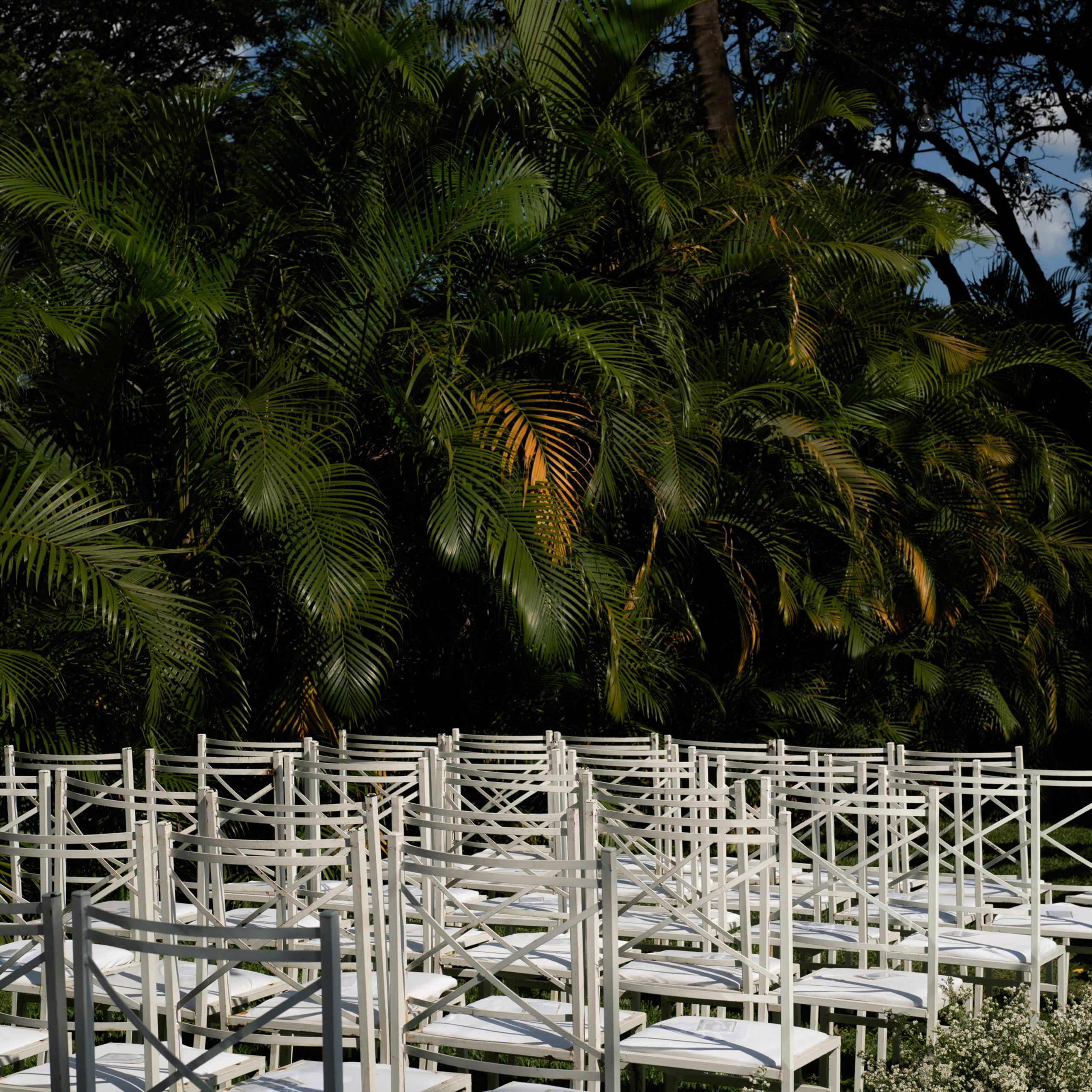 Rosa & Wallace. Novos Tempos Wedding