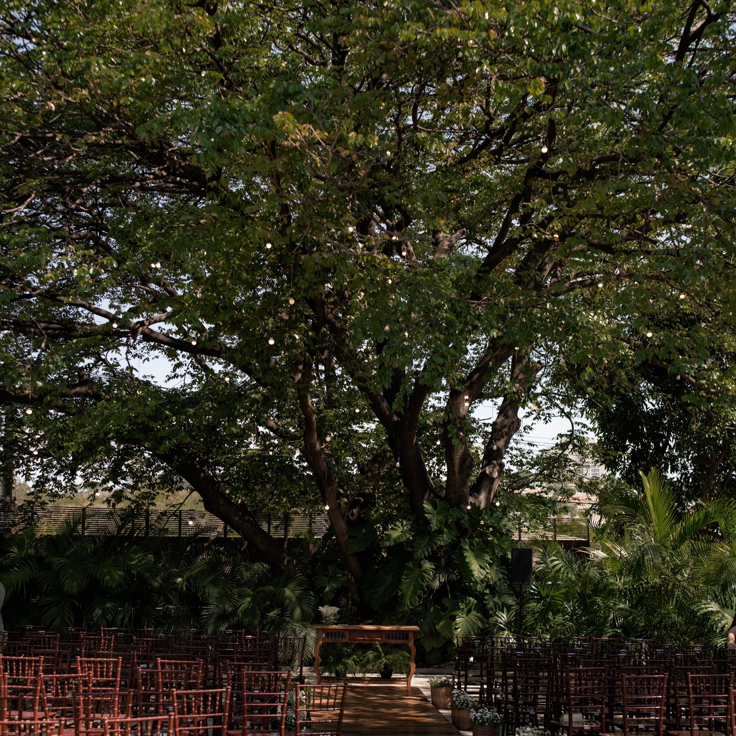 Brenda & Willian. Novos Tempos Wedding