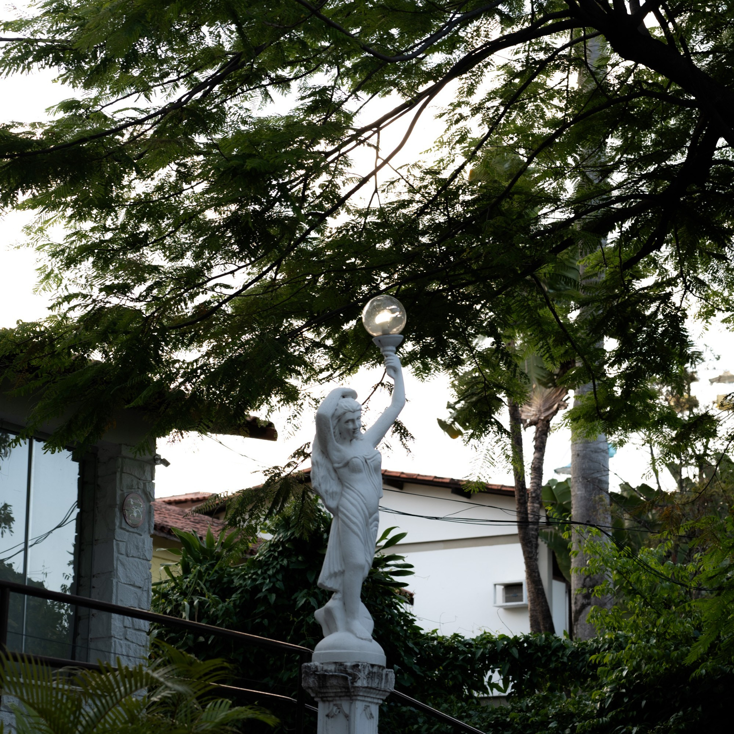Rosa & Wallace. Novos Tempos Wedding