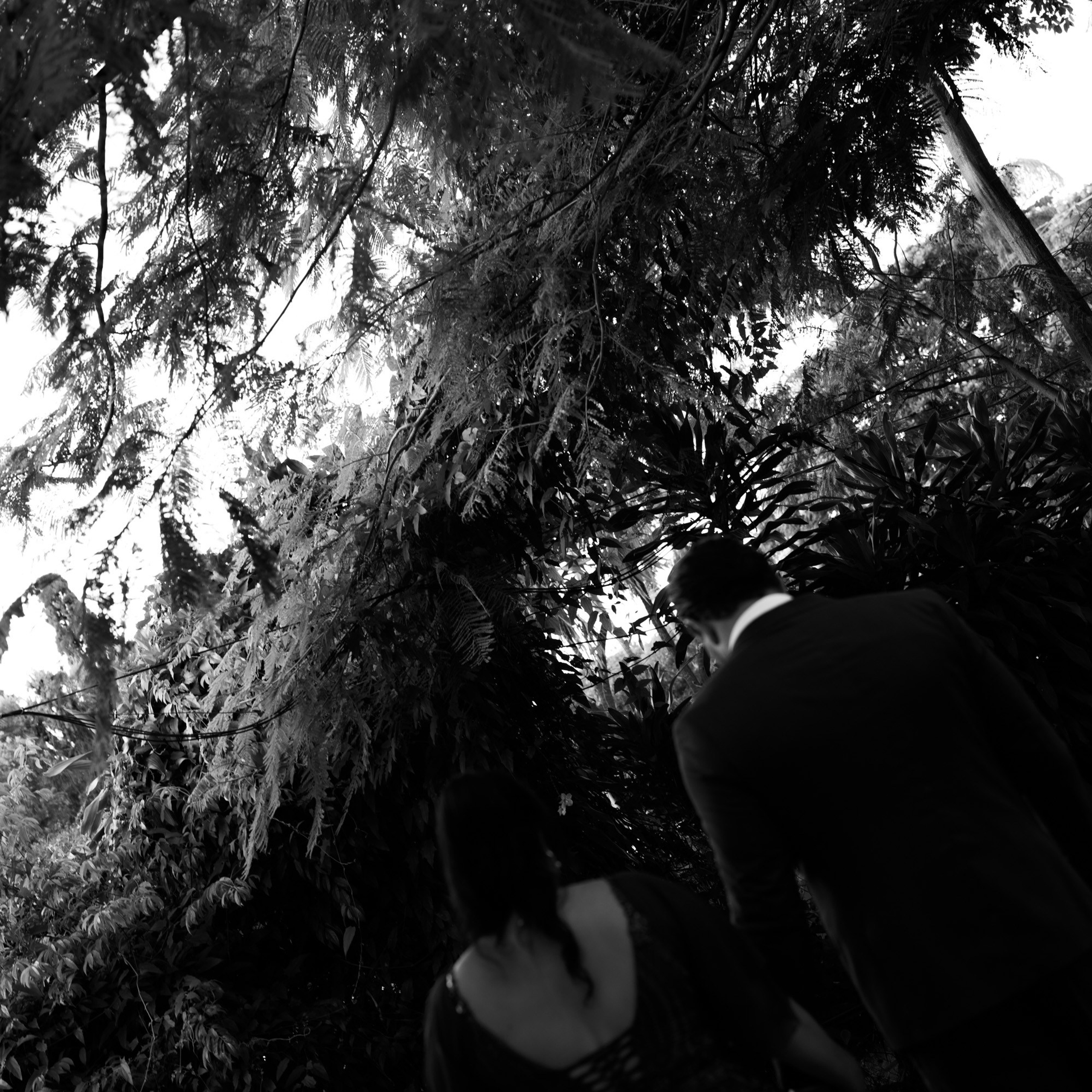 Rosa & Wallace. Novos Tempos Wedding