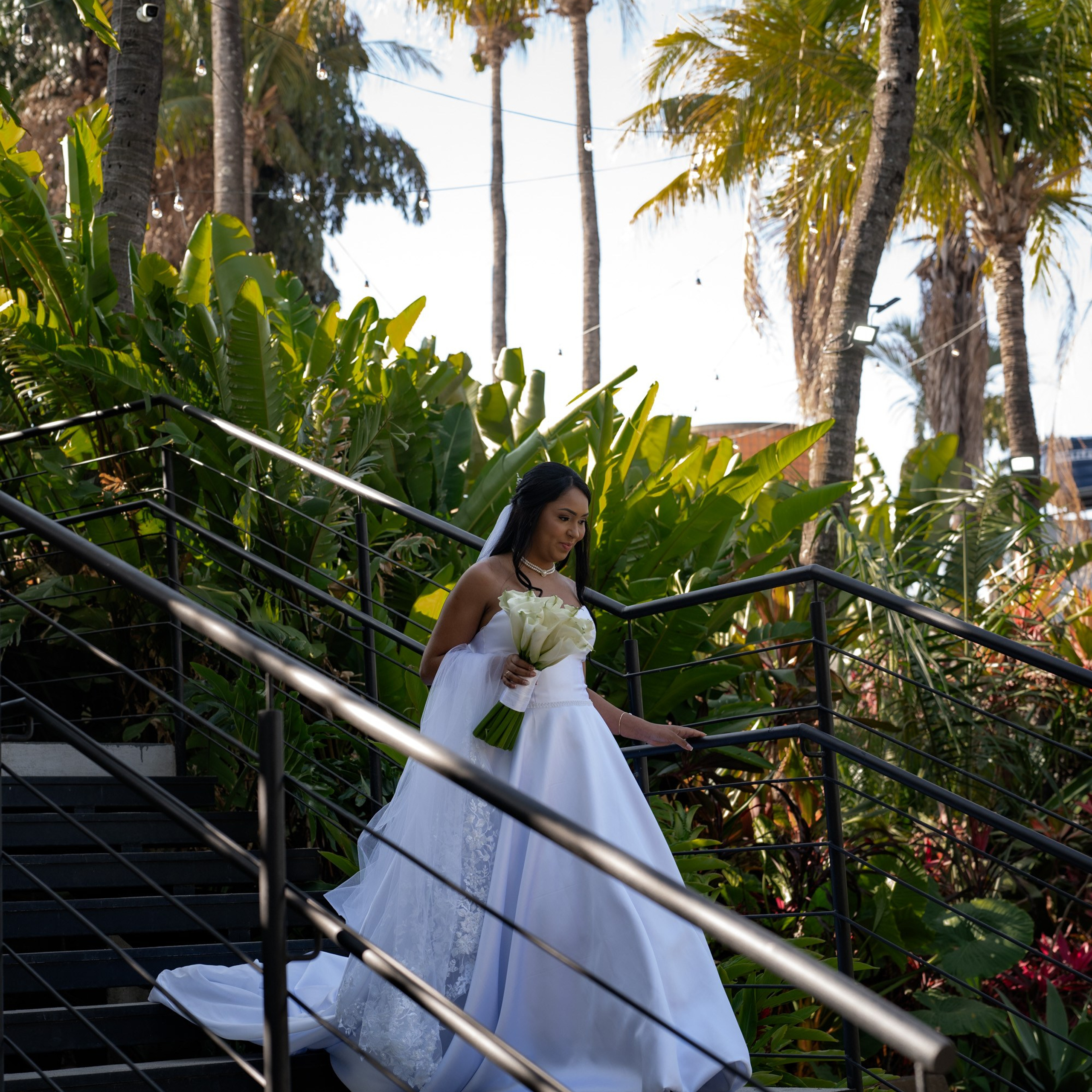Brenda & Willian. Novos Tempos Wedding