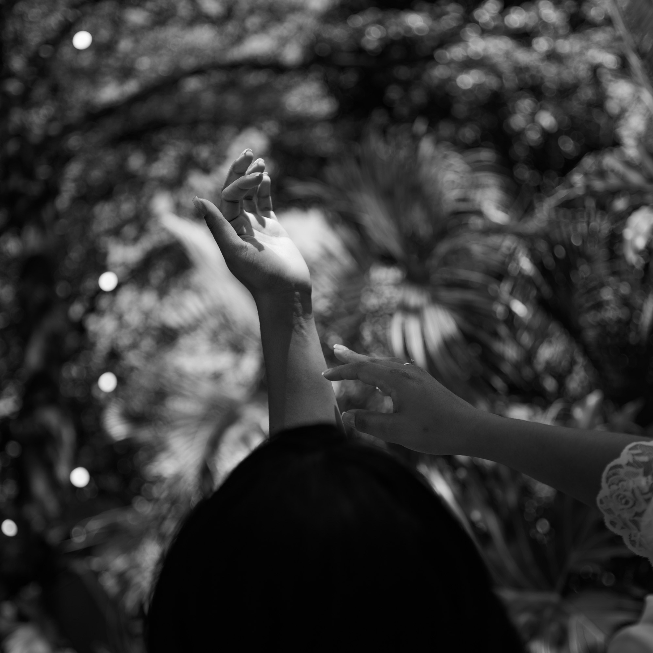 Brenda & Willian. Novos Tempos Wedding