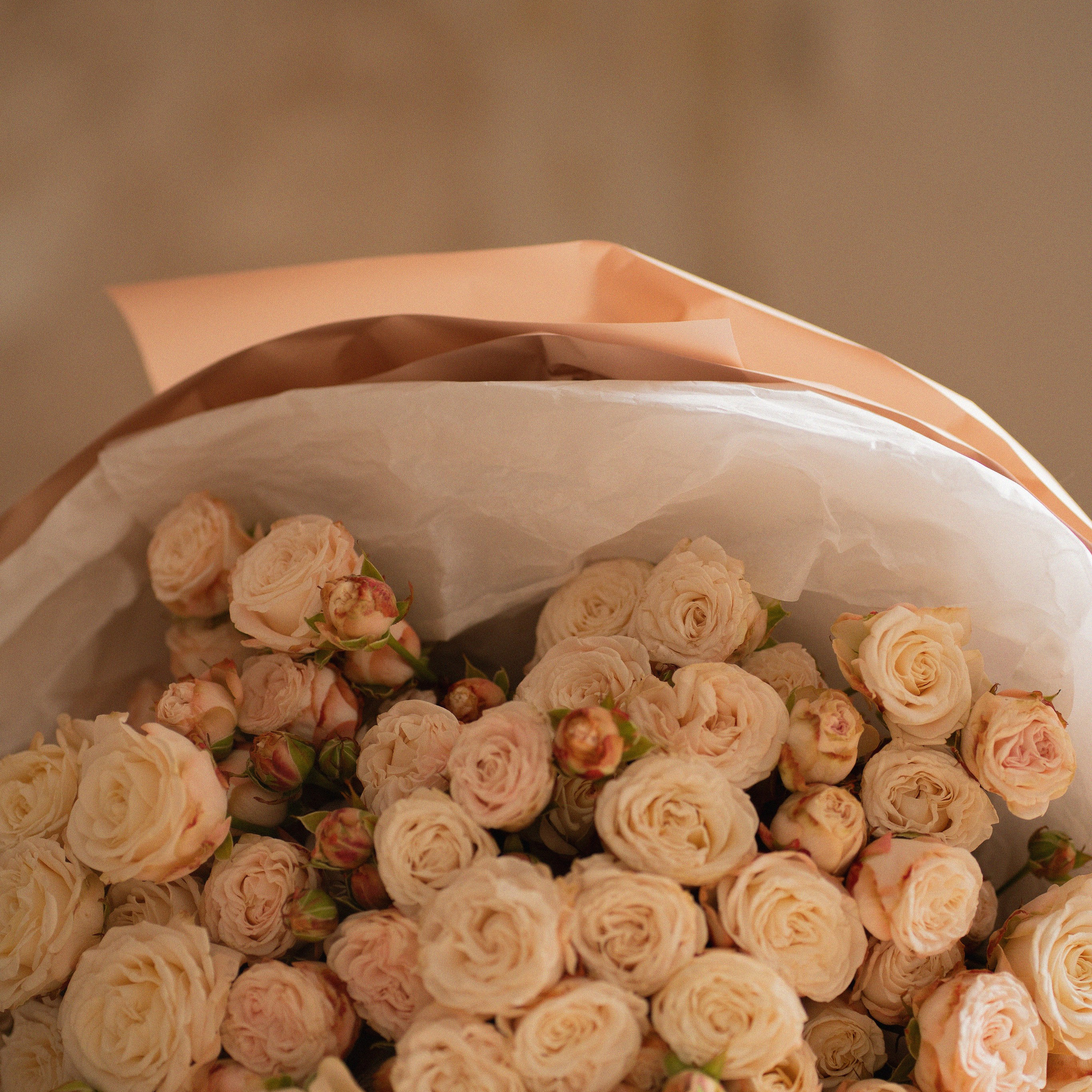 Opinion. RRproduction