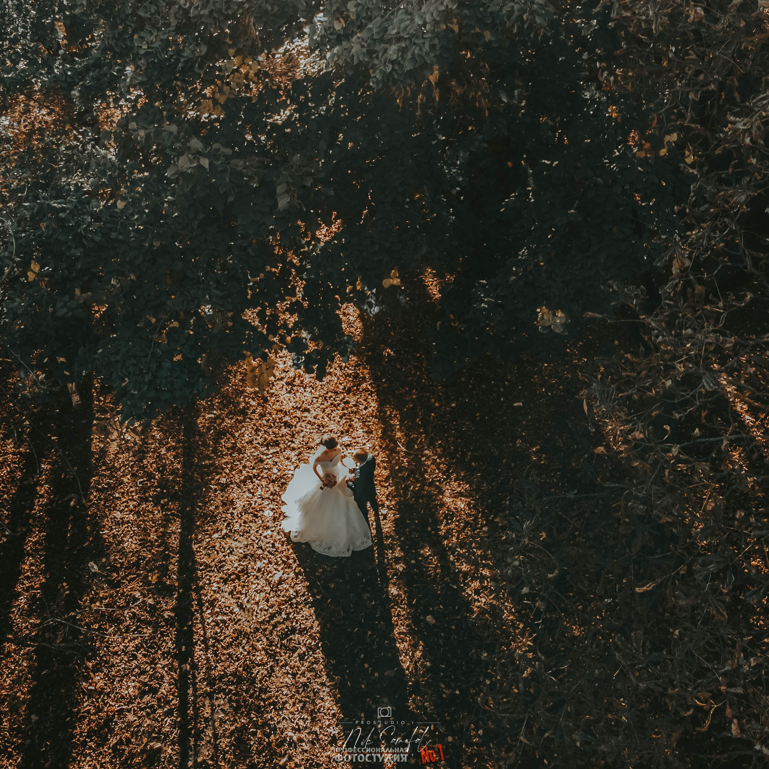 Wedding Photographer in Miami · 220+ 5★ on Google. ProStudio1