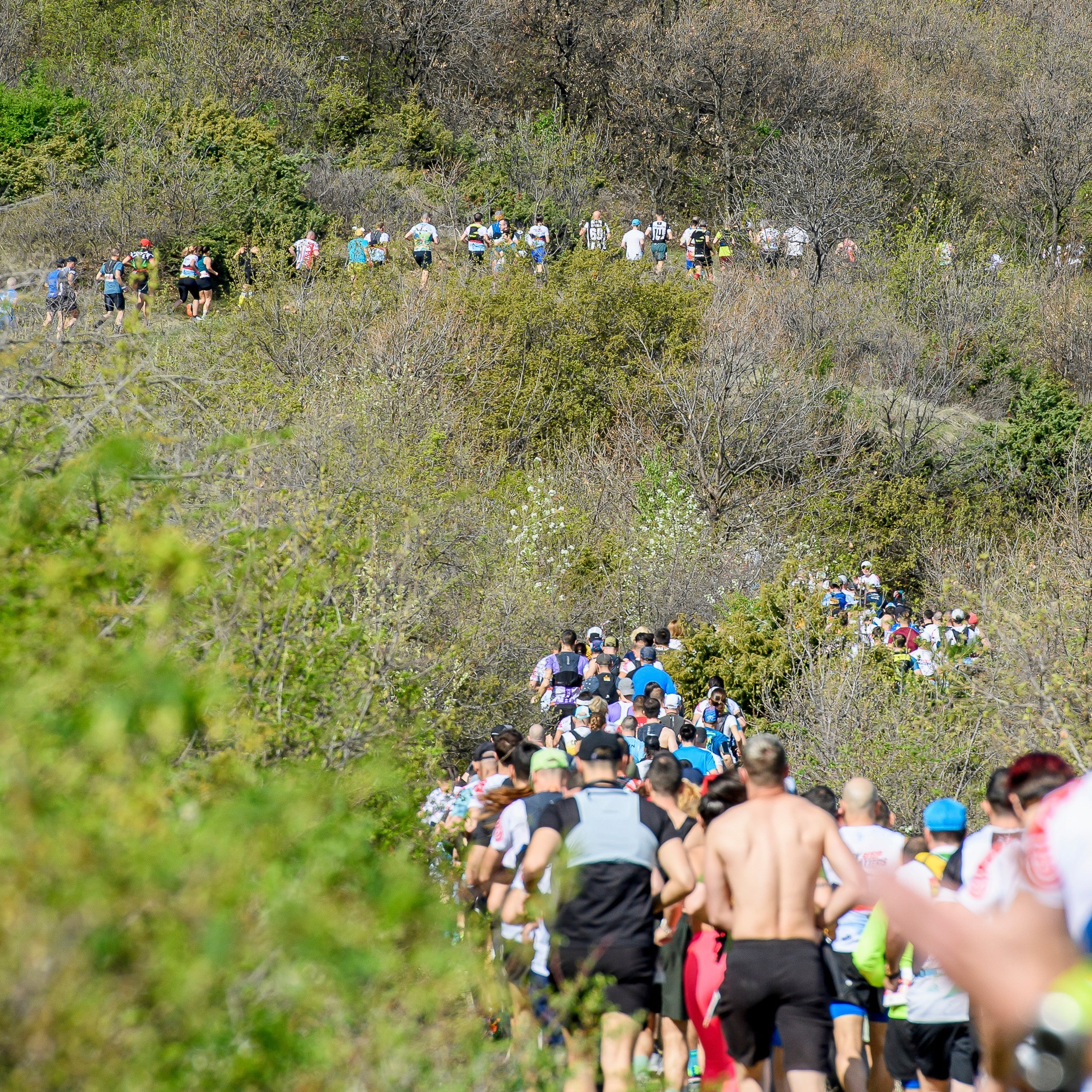 Отзиви. «Plovdiv Hills in MARKOVO» е състезание по планинско бягане