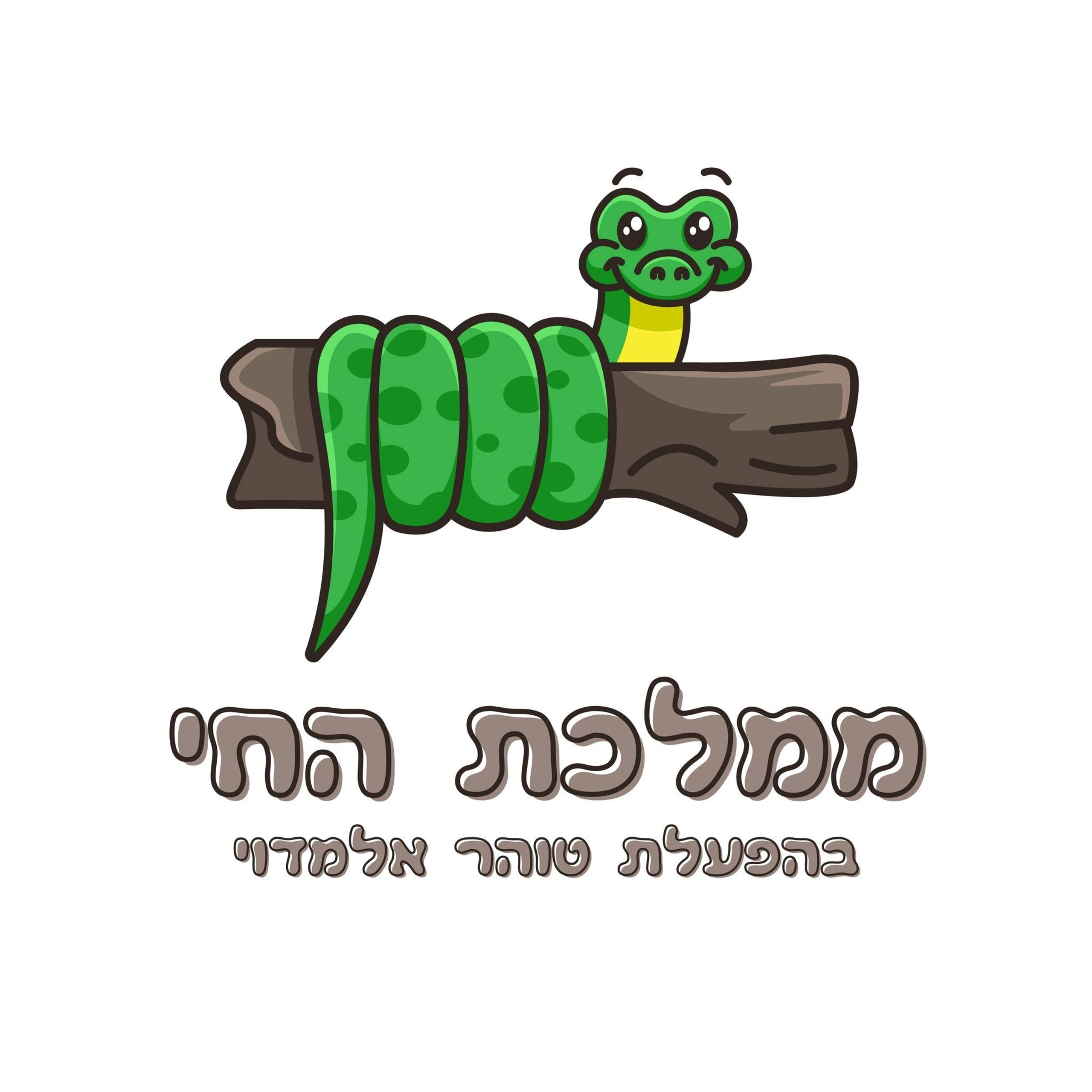 המלצות. יותם שחר צילום ועריכה