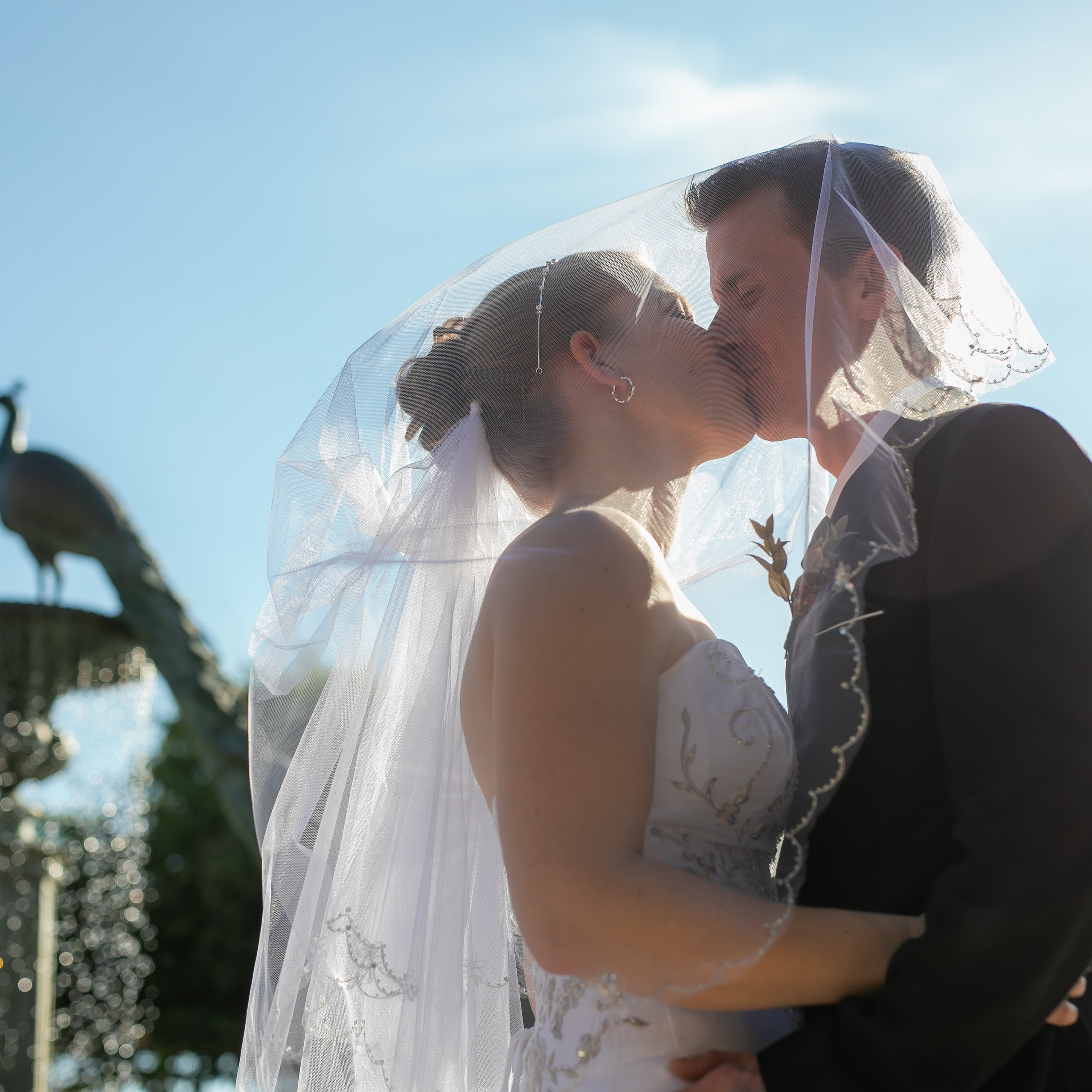 Real Client Reviews | Lana Photography Florida. Lana Photography — Wedding & Family Photographer in Florida & Beyond