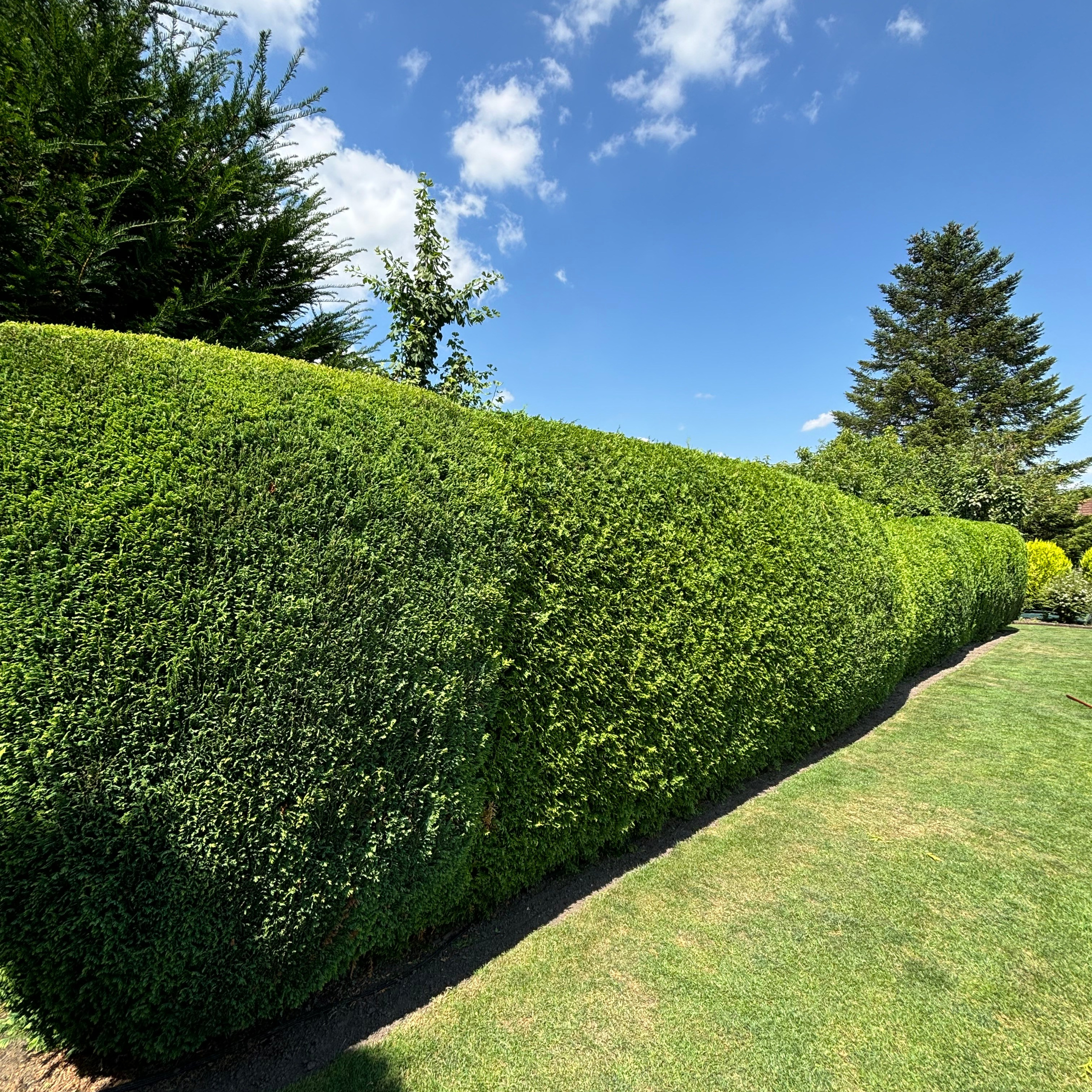 Rezensionen Gartenservice Gulda. Gulda Gärtnerei - Gartenservice in Hamm, Soest, Beckum und Umgebung
