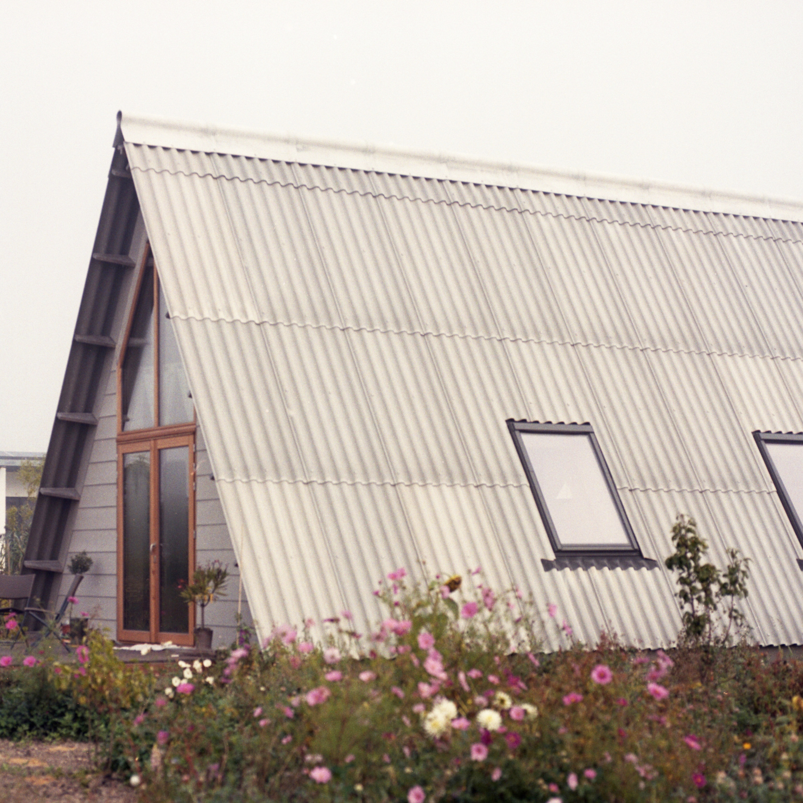 Reviews. Fotograaf Amsterdam - Victoria Ushkanova