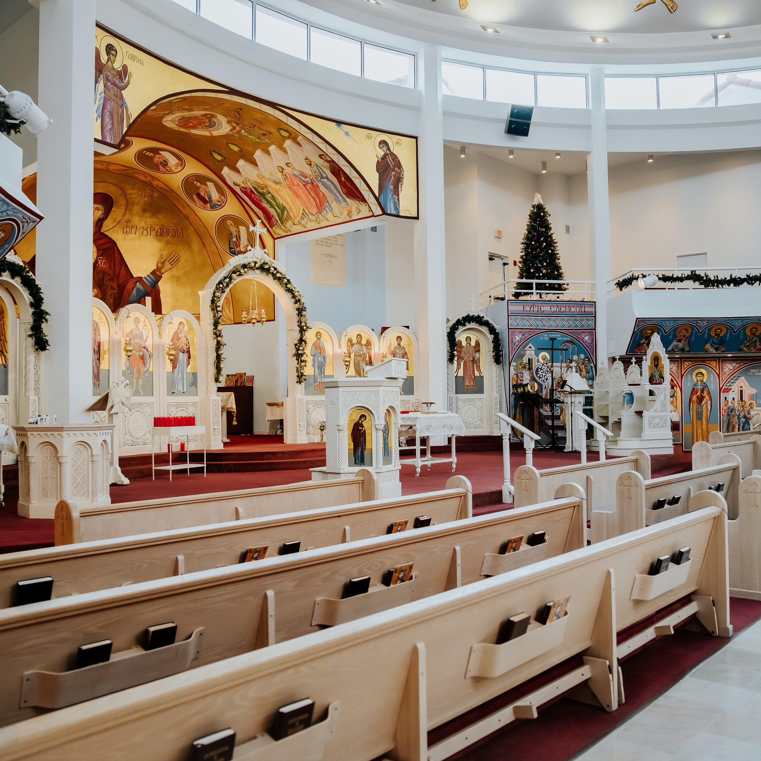 REVIEWS. Alya Leto Photographer