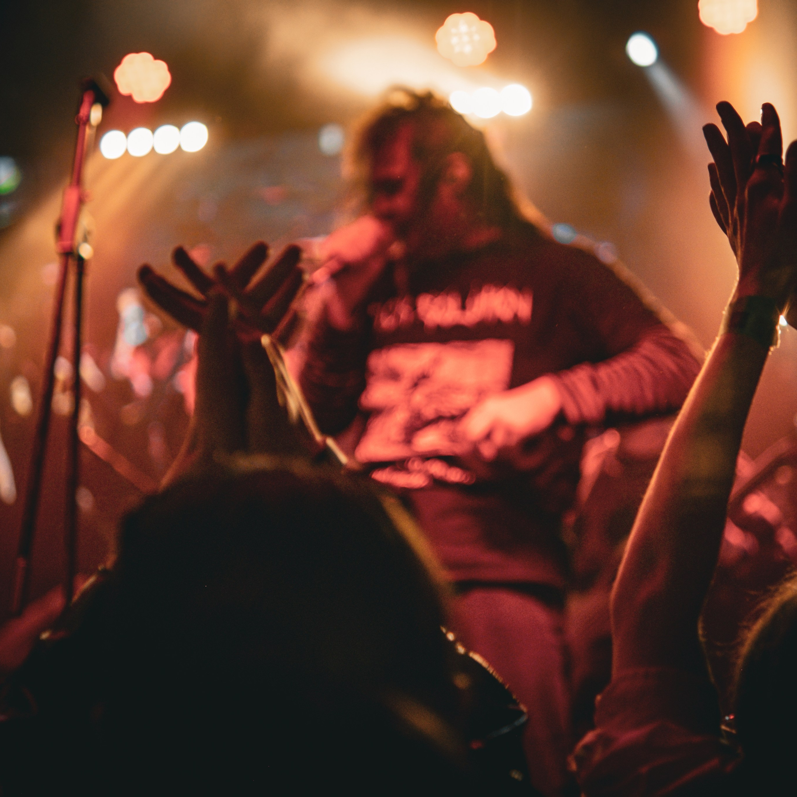 Photography of Fujicolor.104