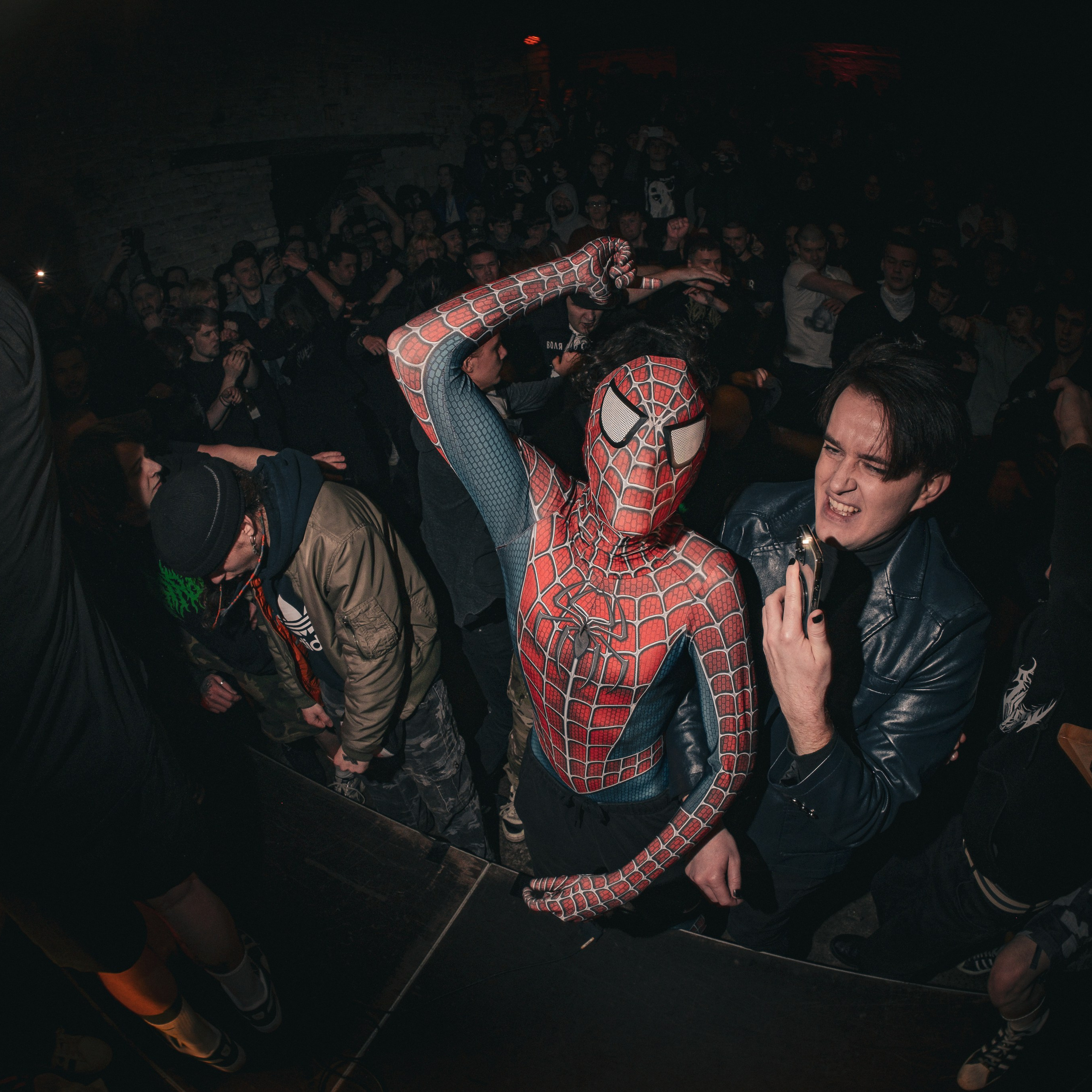 Reviews. Photography of Fujicolor.104