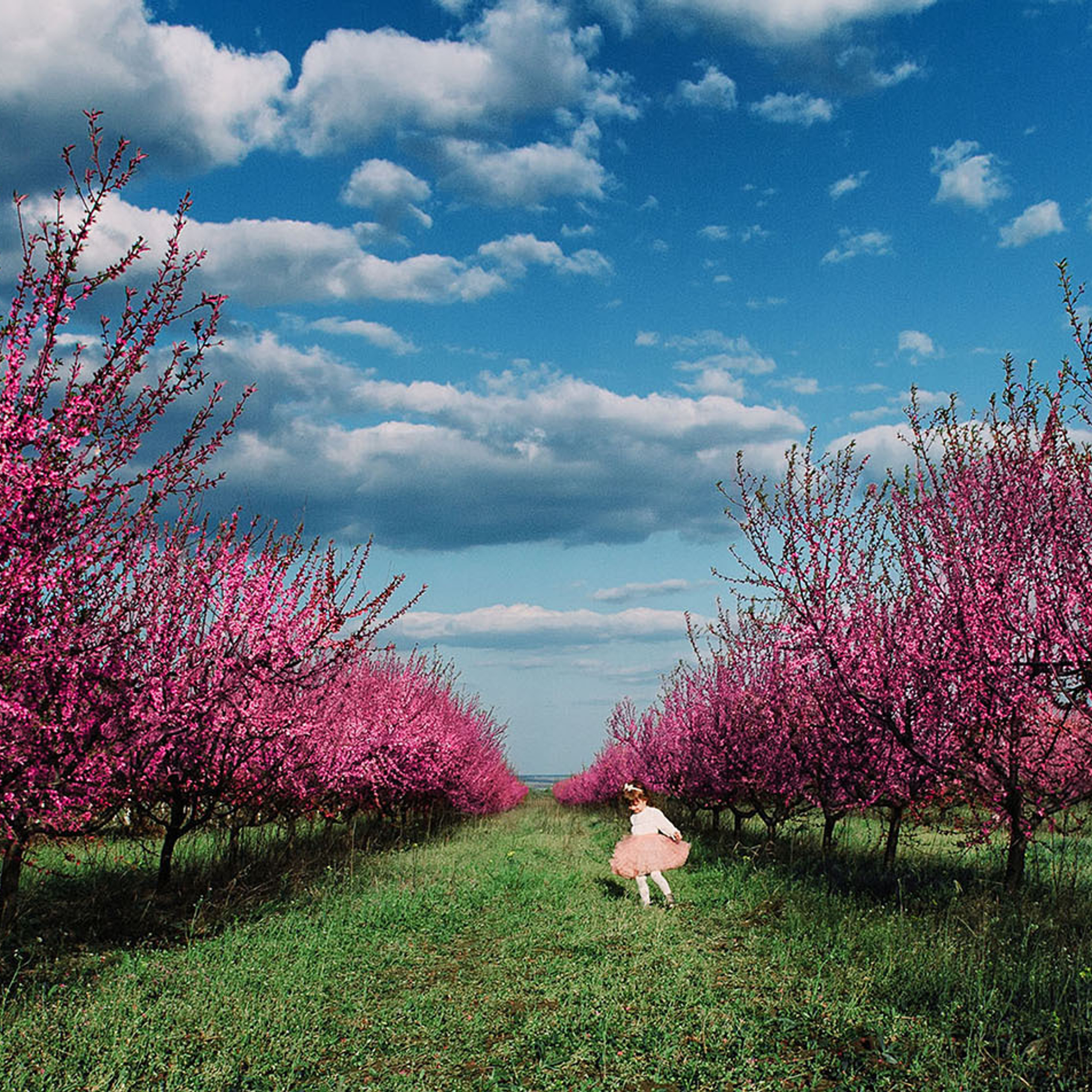 Детская фотосессия. Семейный фотограф в Кишинёве THOMAS SHTIFT