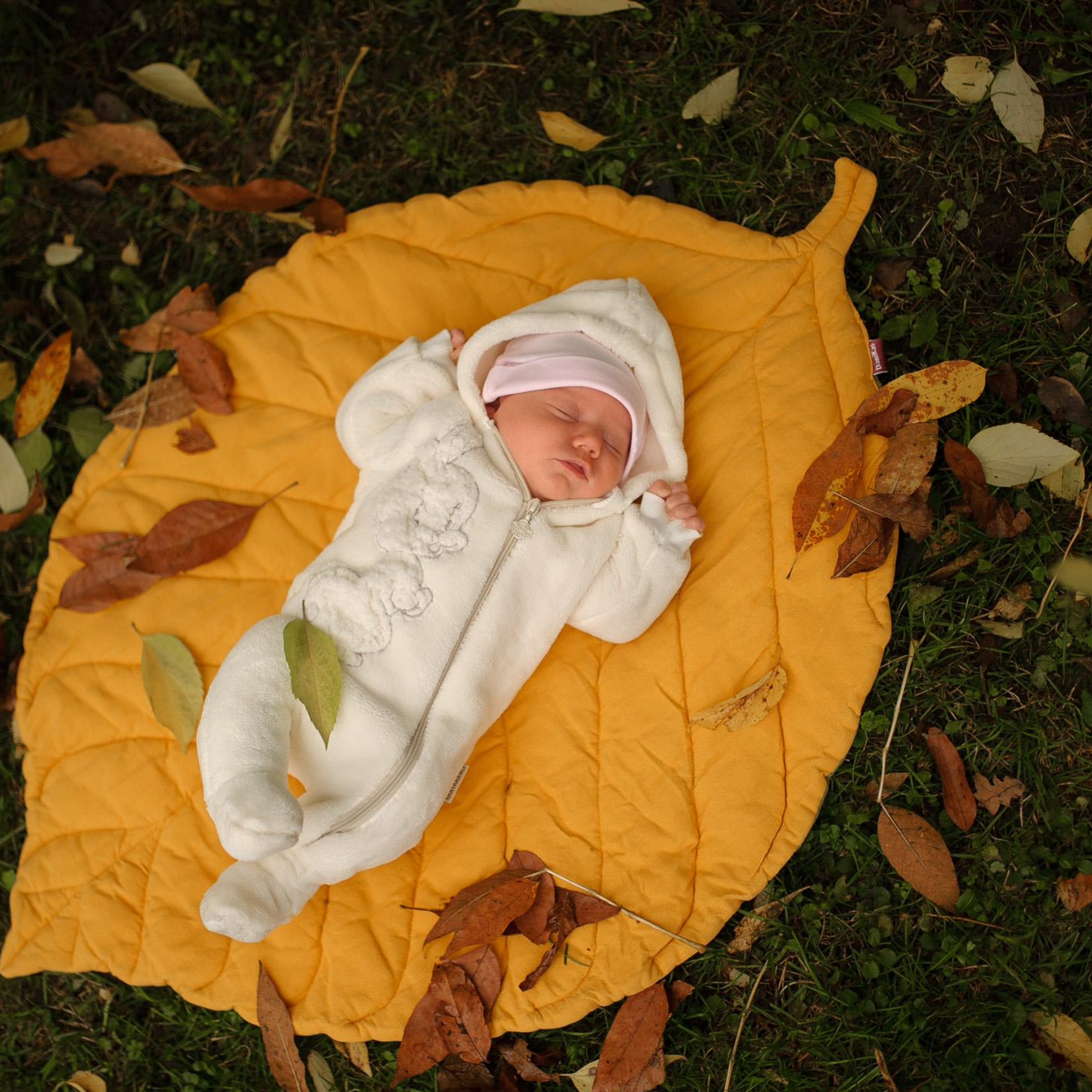 — Проект Года —. Семейный фотограф в Кишинёве THOMAS SHTIFT