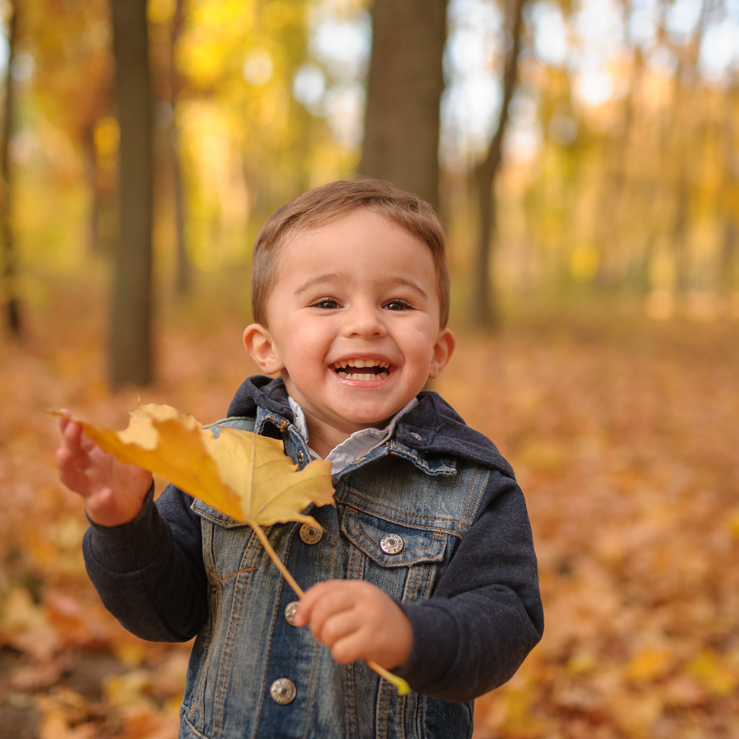 Альбом — Лёшка