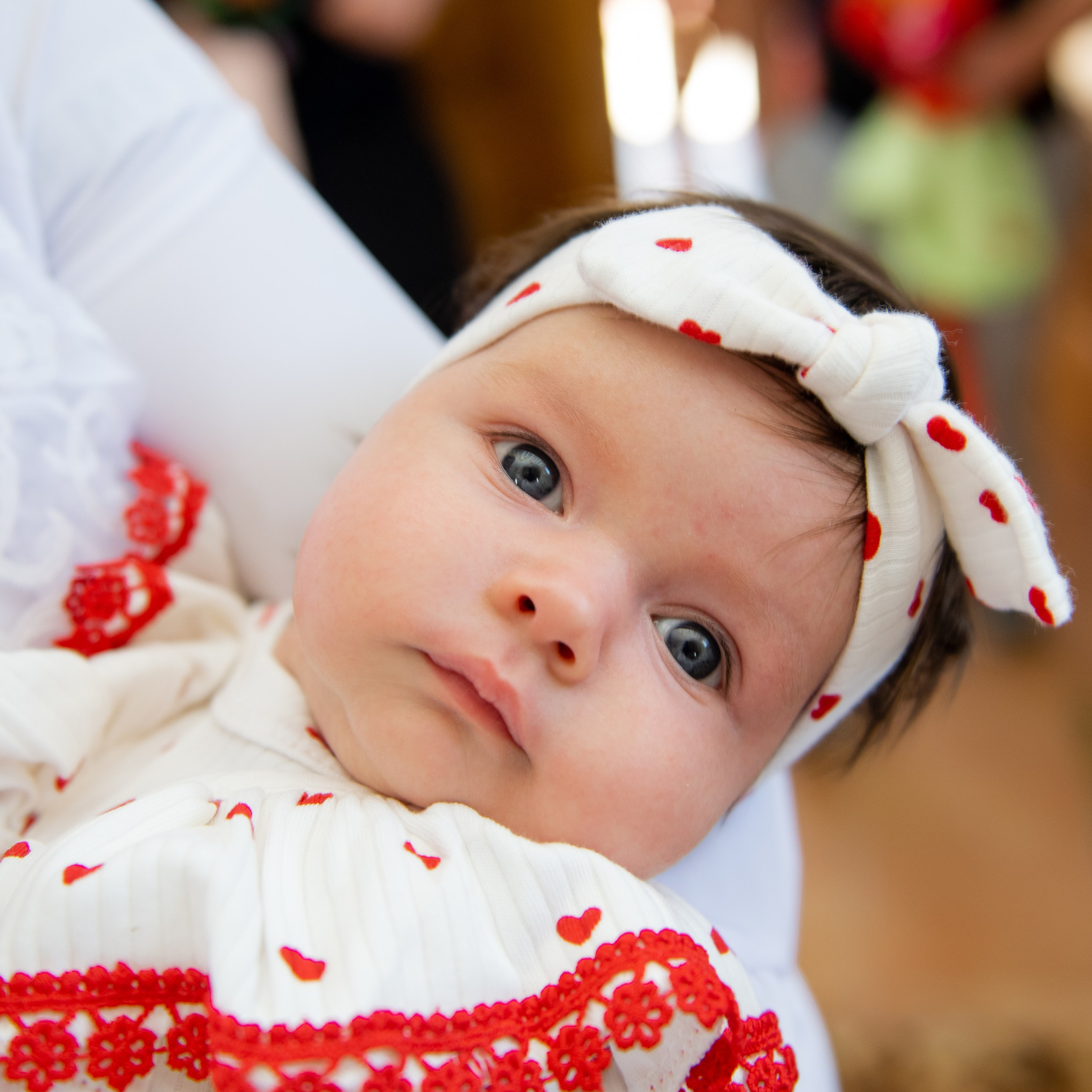 Comentarii. Fotograf de familie Vitalie Budoianu