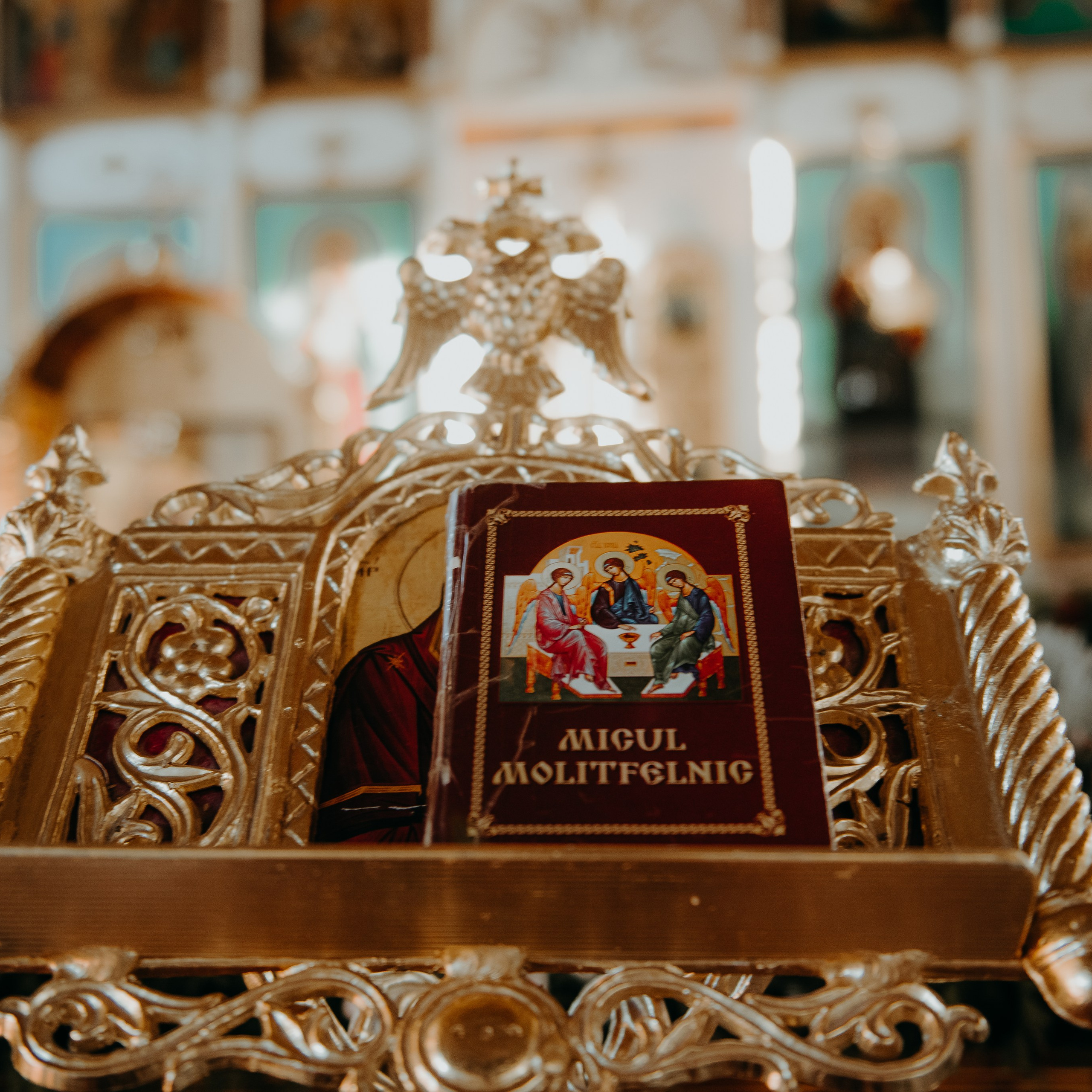 Comentarii. Fotograf de familie Vitalie Budoianu